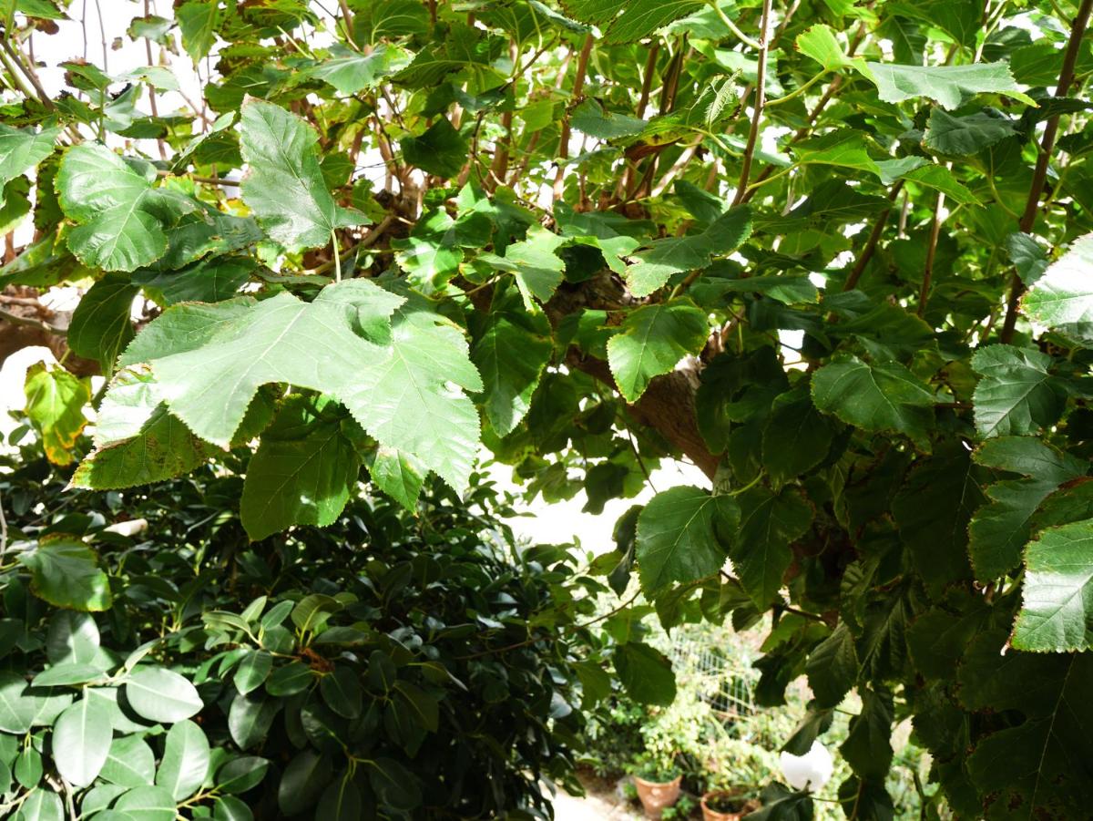 Photo 17