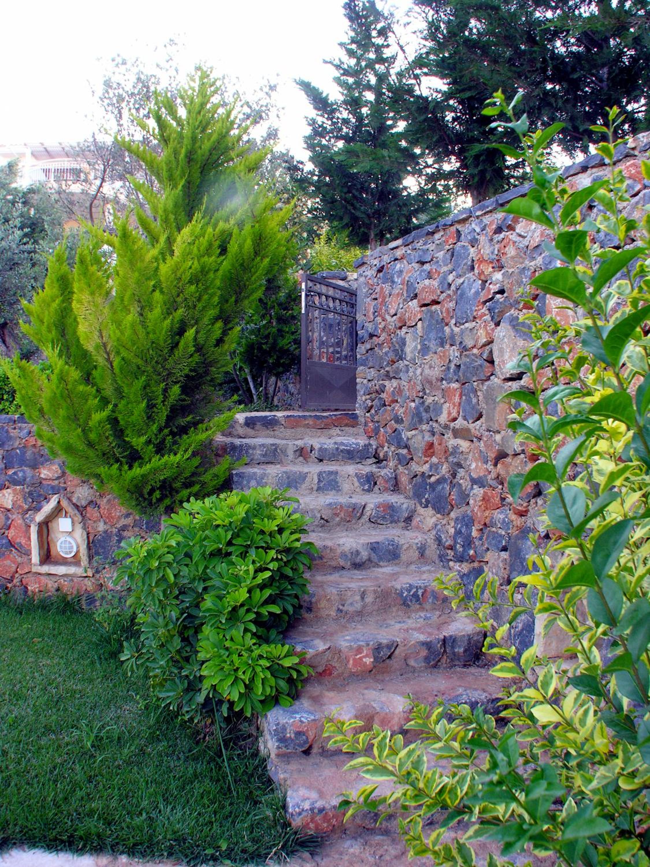 Photo 50