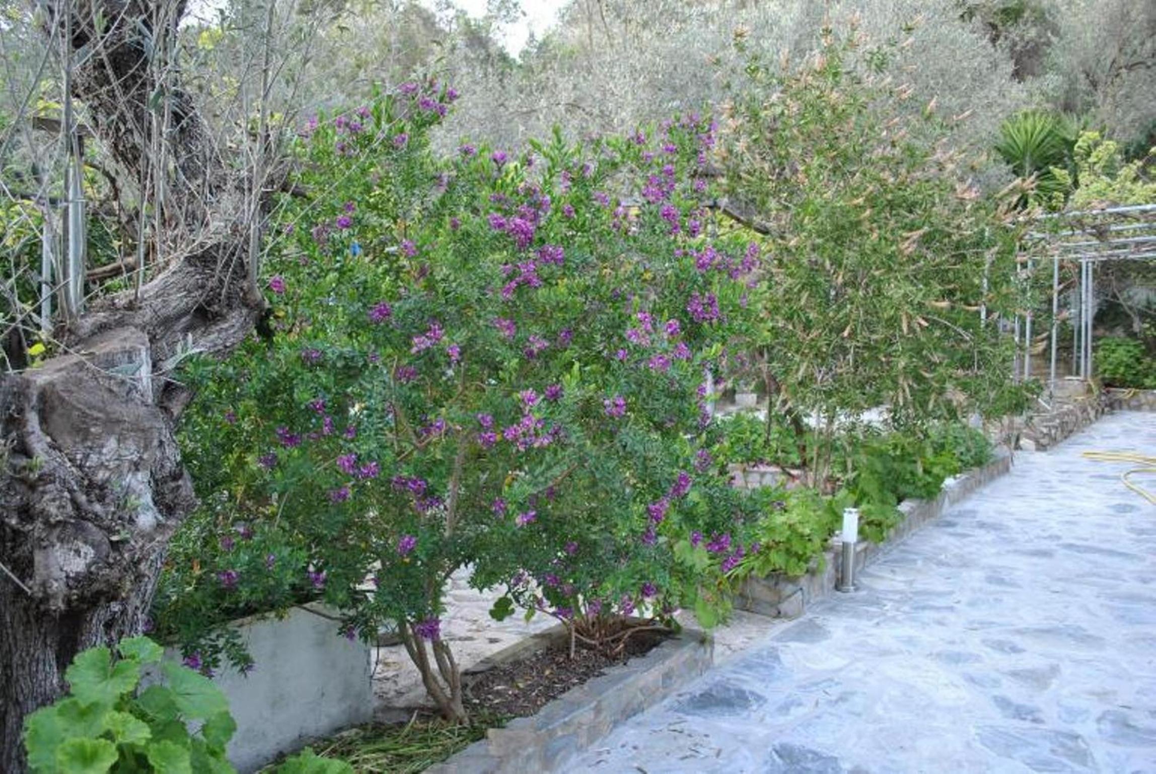 Photo 34