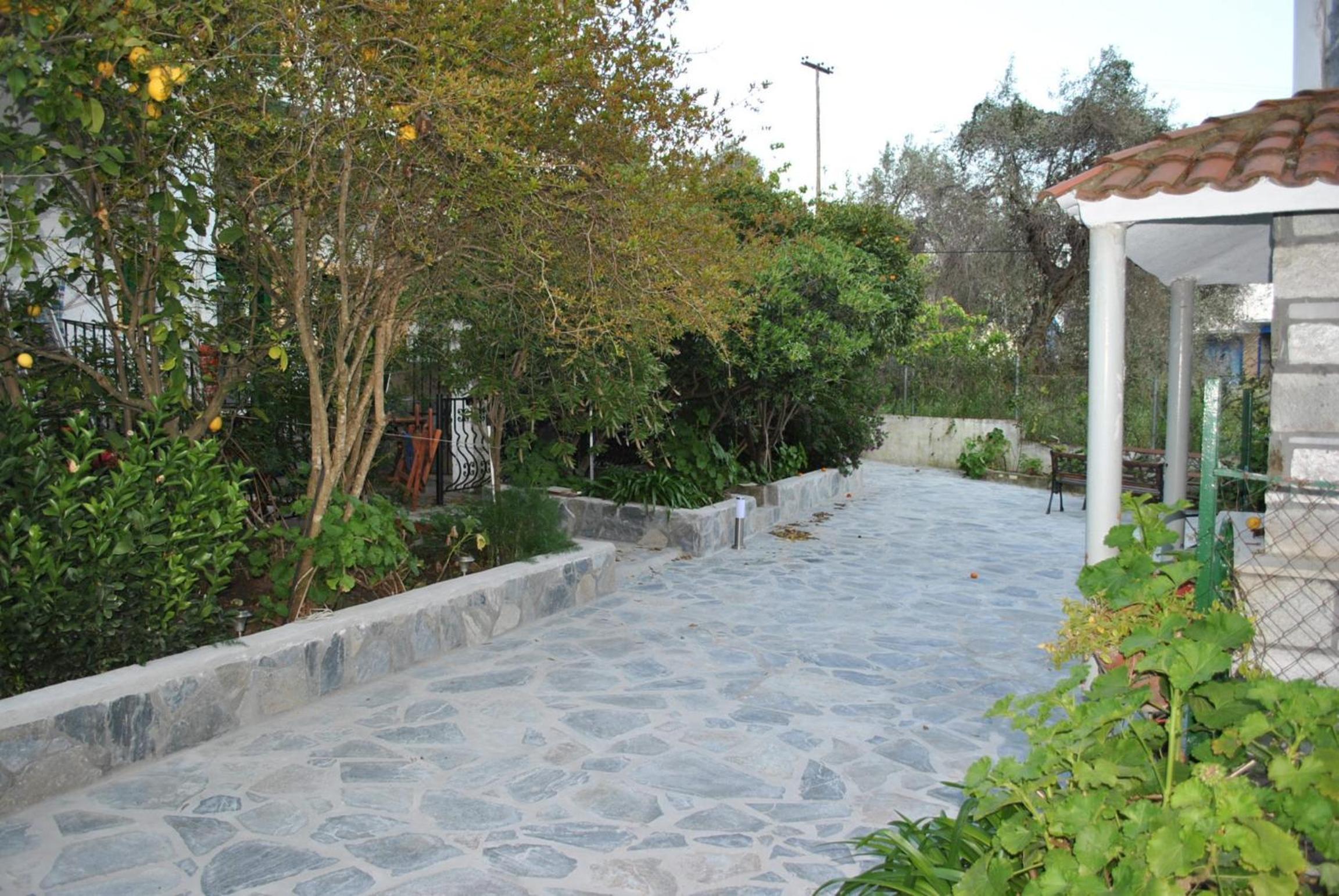 Photo 21