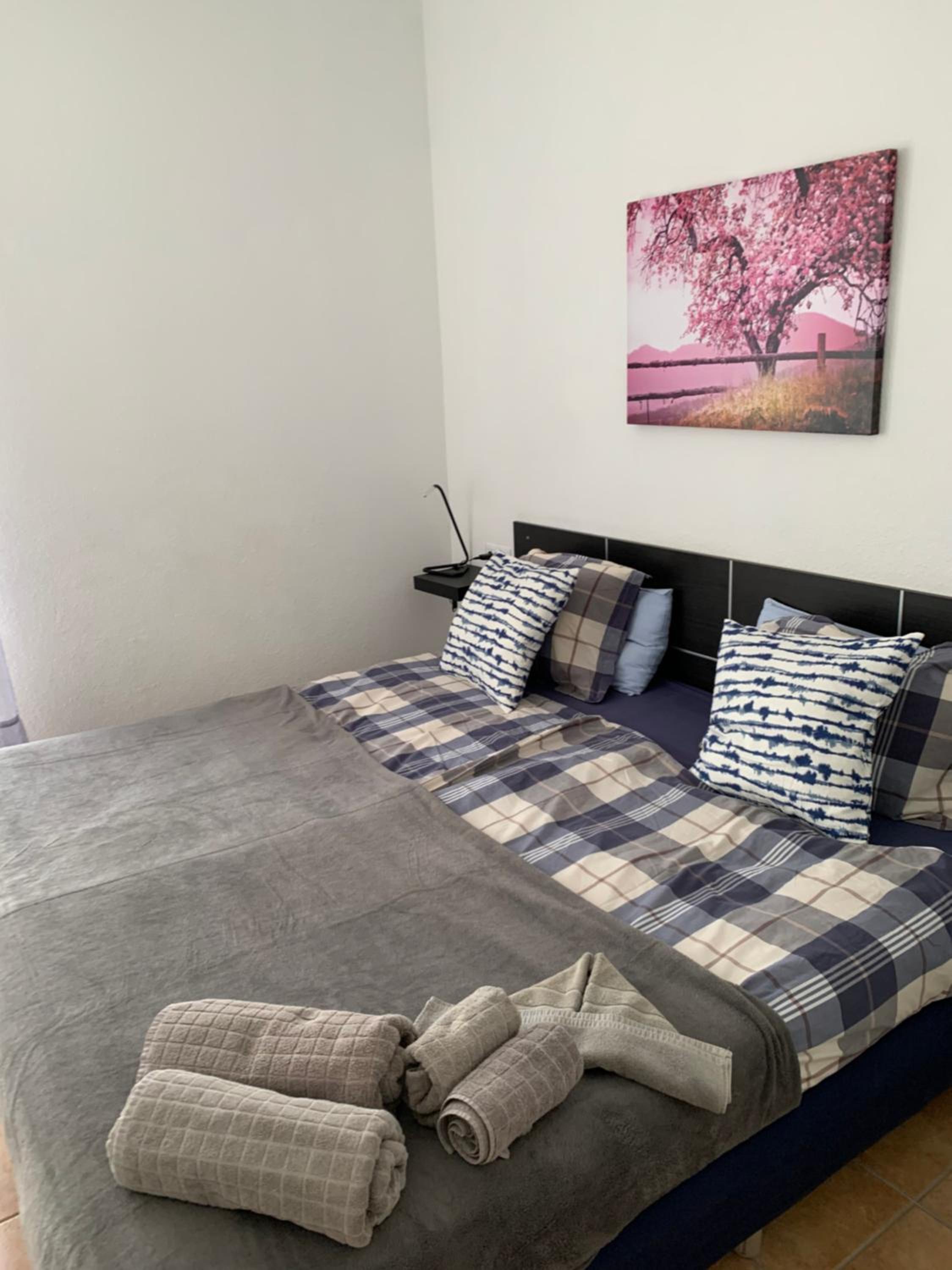 Apartamentos Alberto
