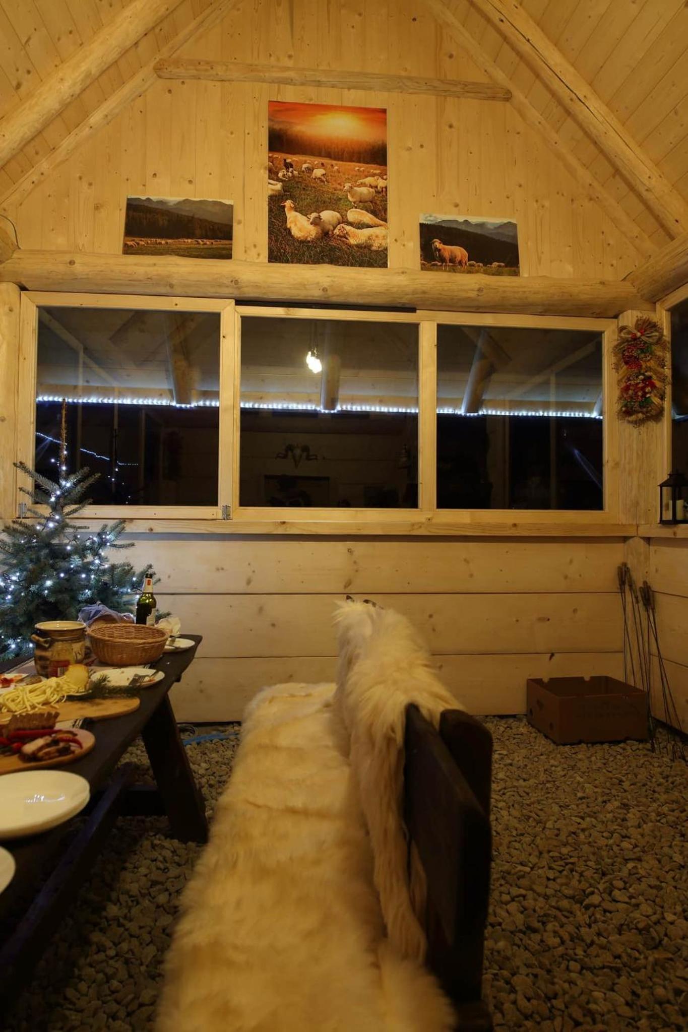 Photo 45
