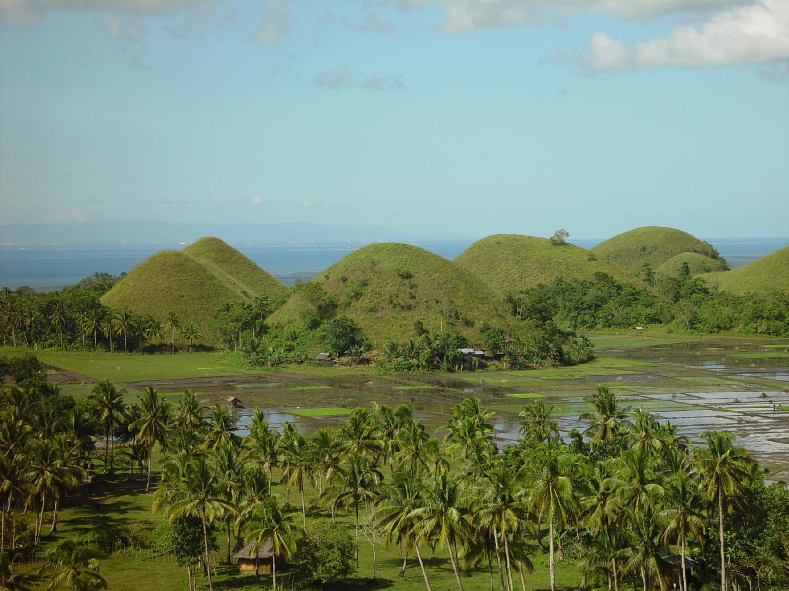 Panglao Homes Resort & Villas