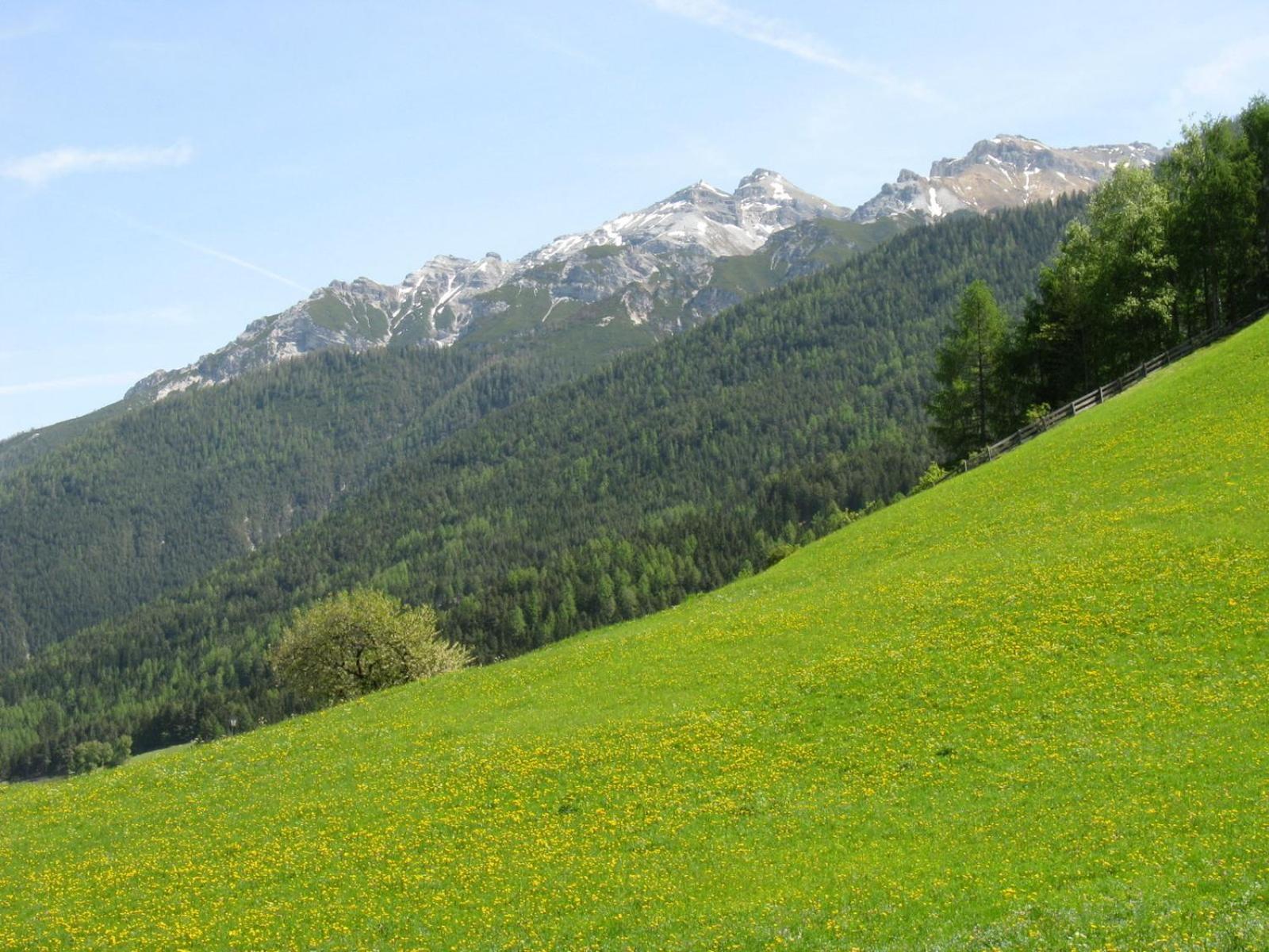 Ferienwohnung Halder, inklusive STUBAI SUPER CARD