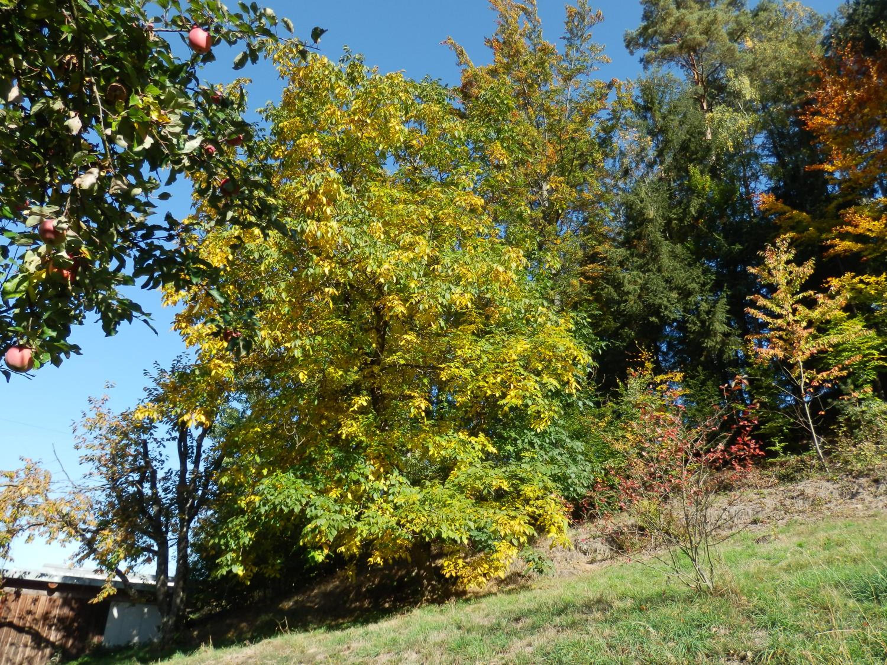 Naturoase Mühlviertel