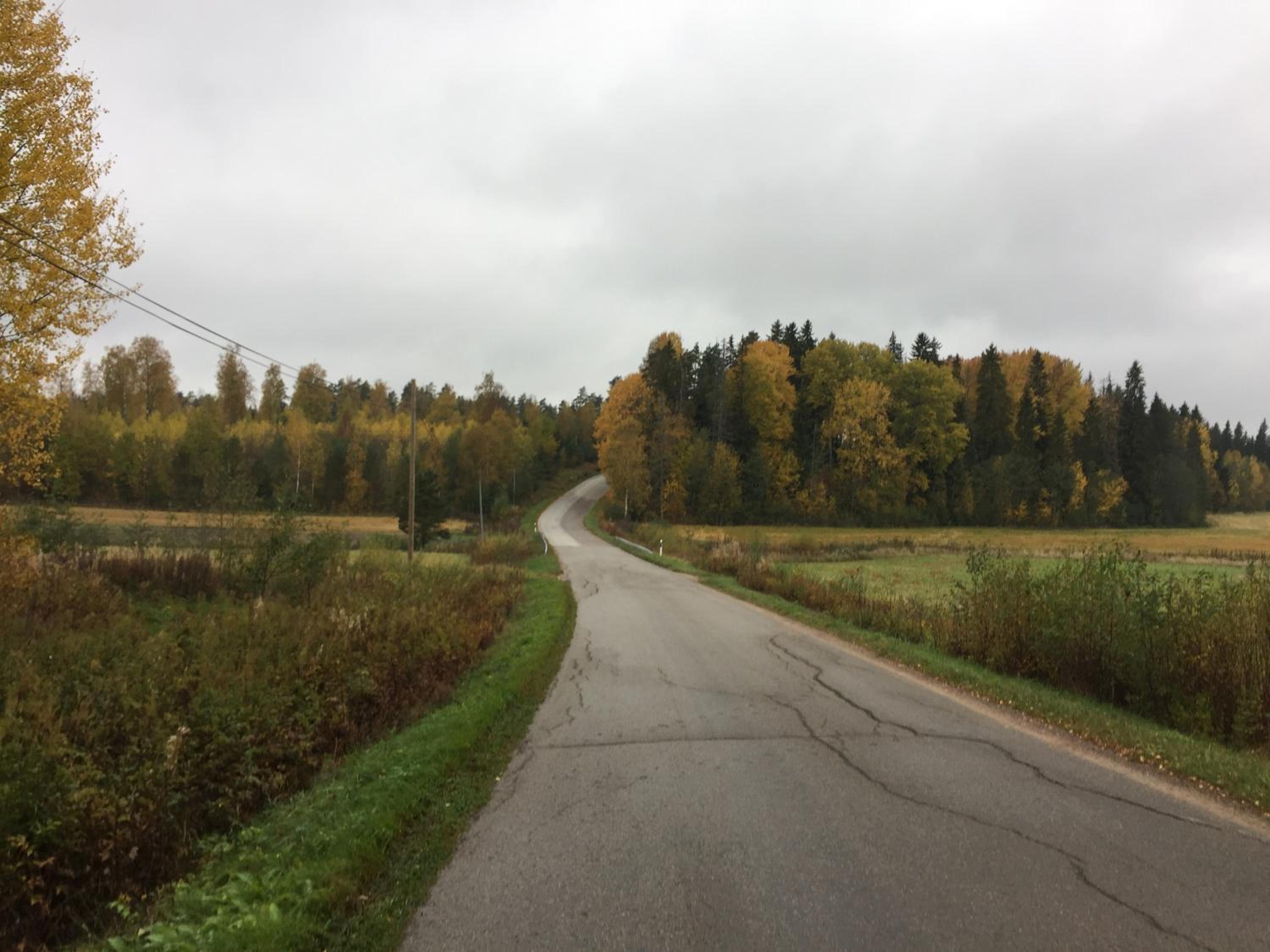 Photo 32