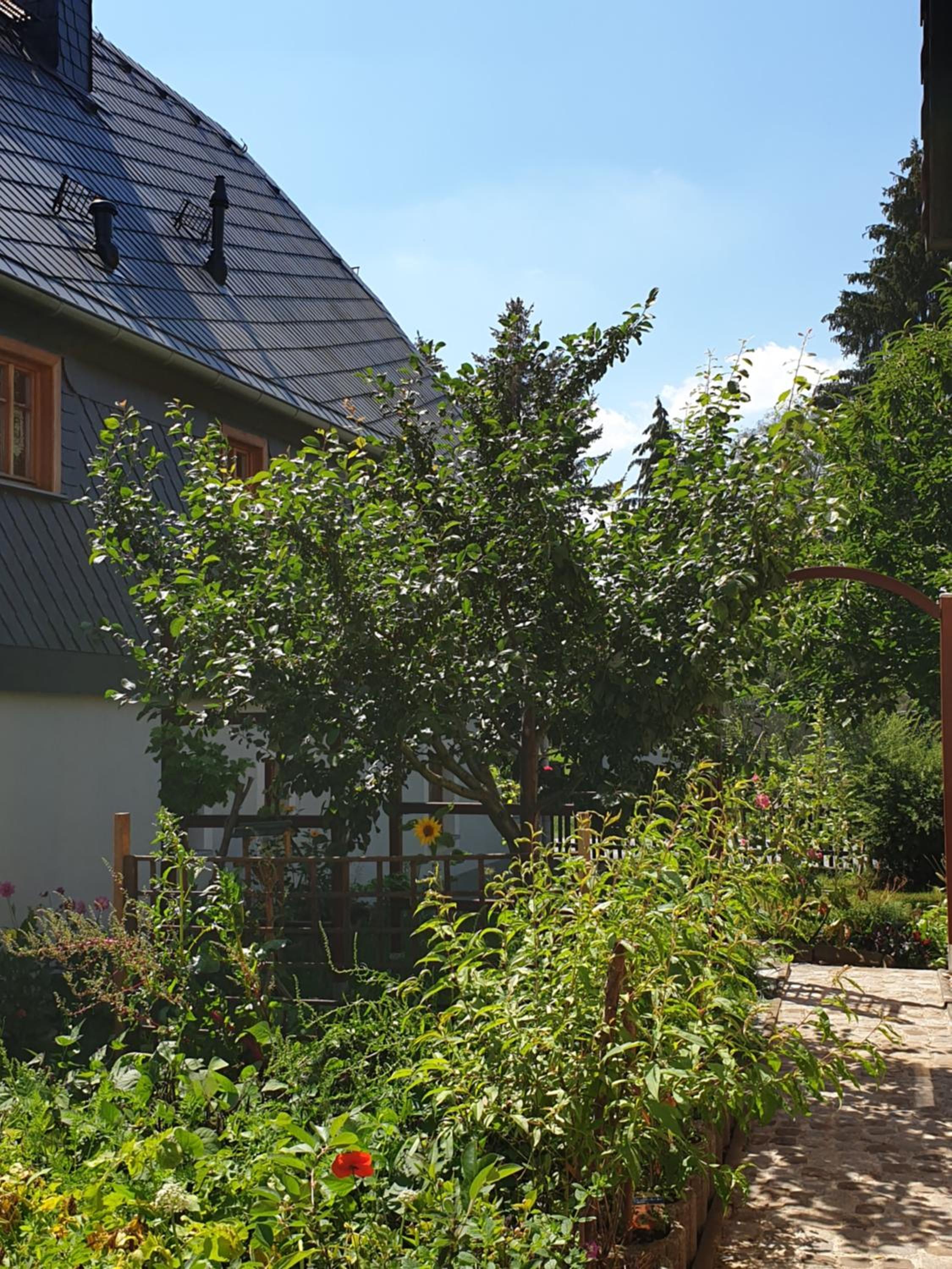 Ökologische Ferienwohnung Becker view 5