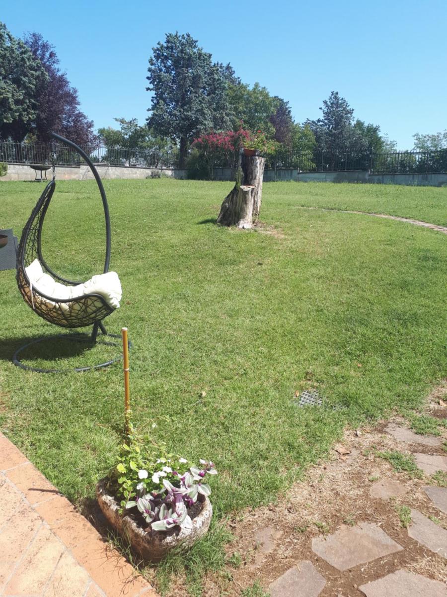 Photo 28