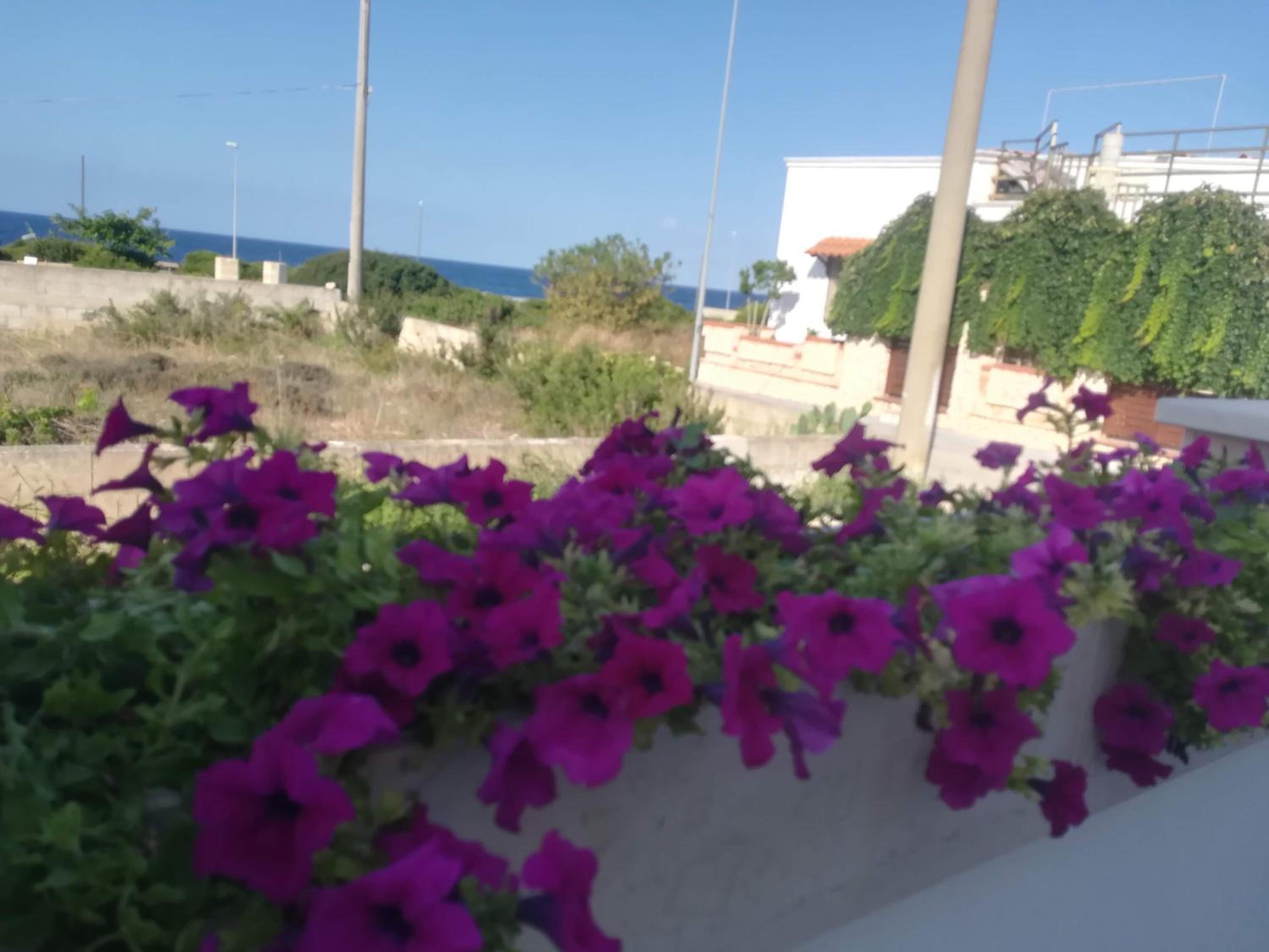 La Maison Blue a 100 mt dal mare - holiday2pet,com -