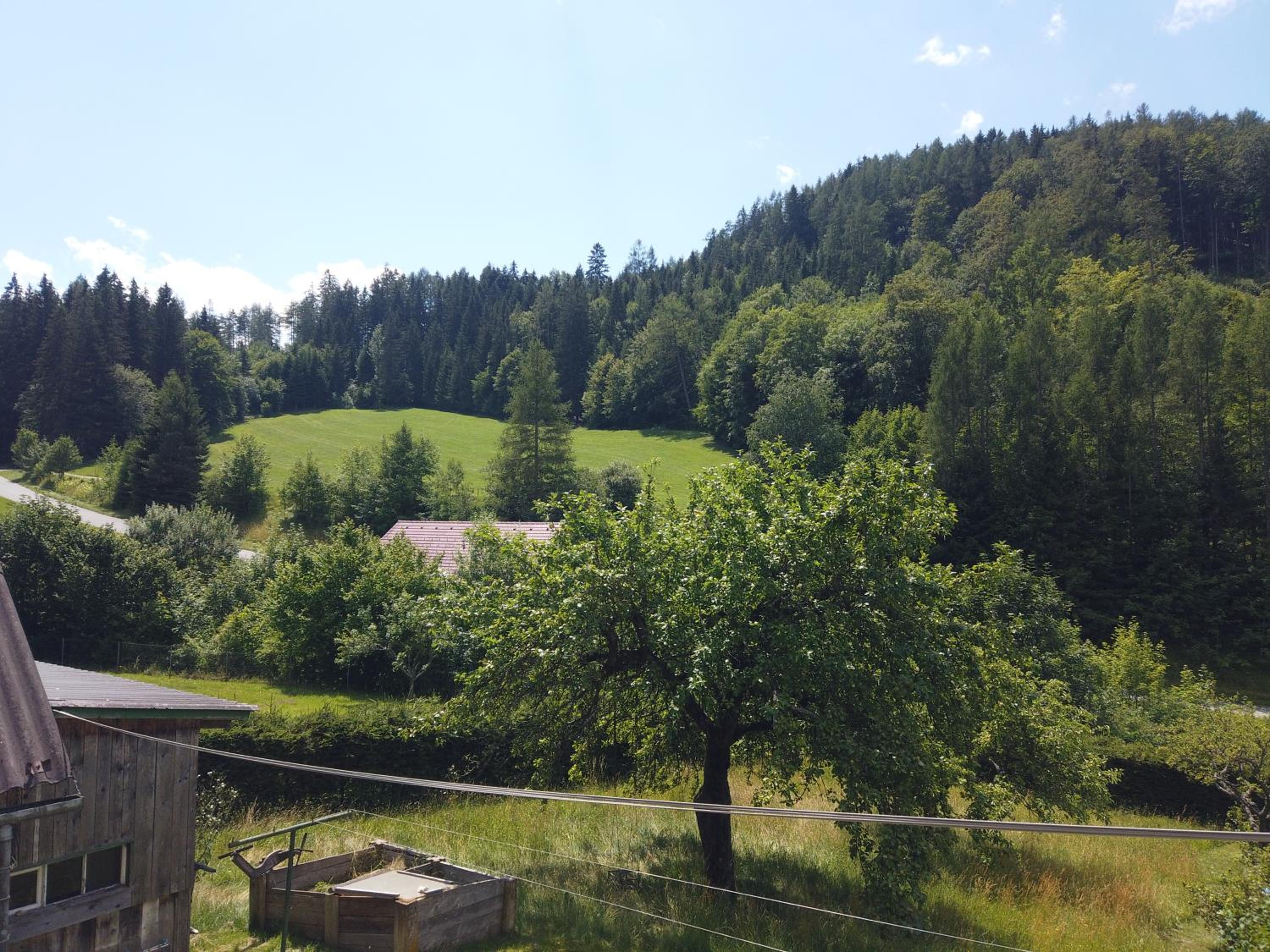 Ferienhaus Oma Hase