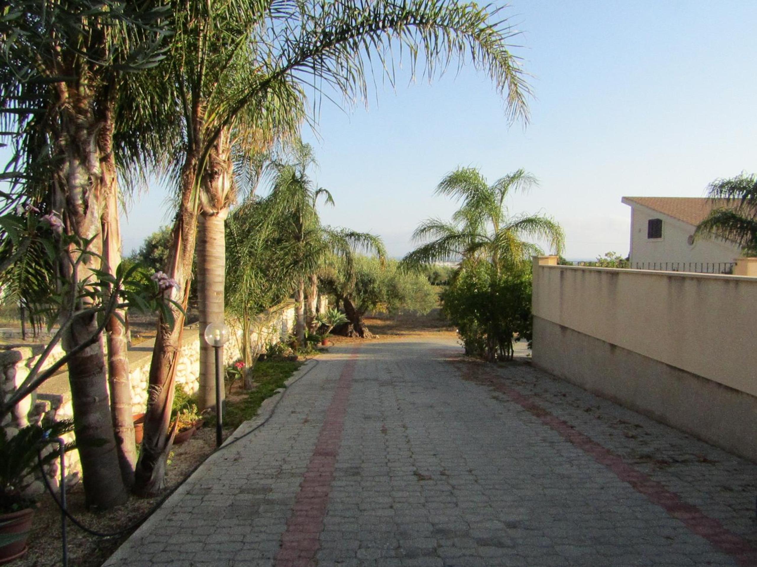 Photo 29