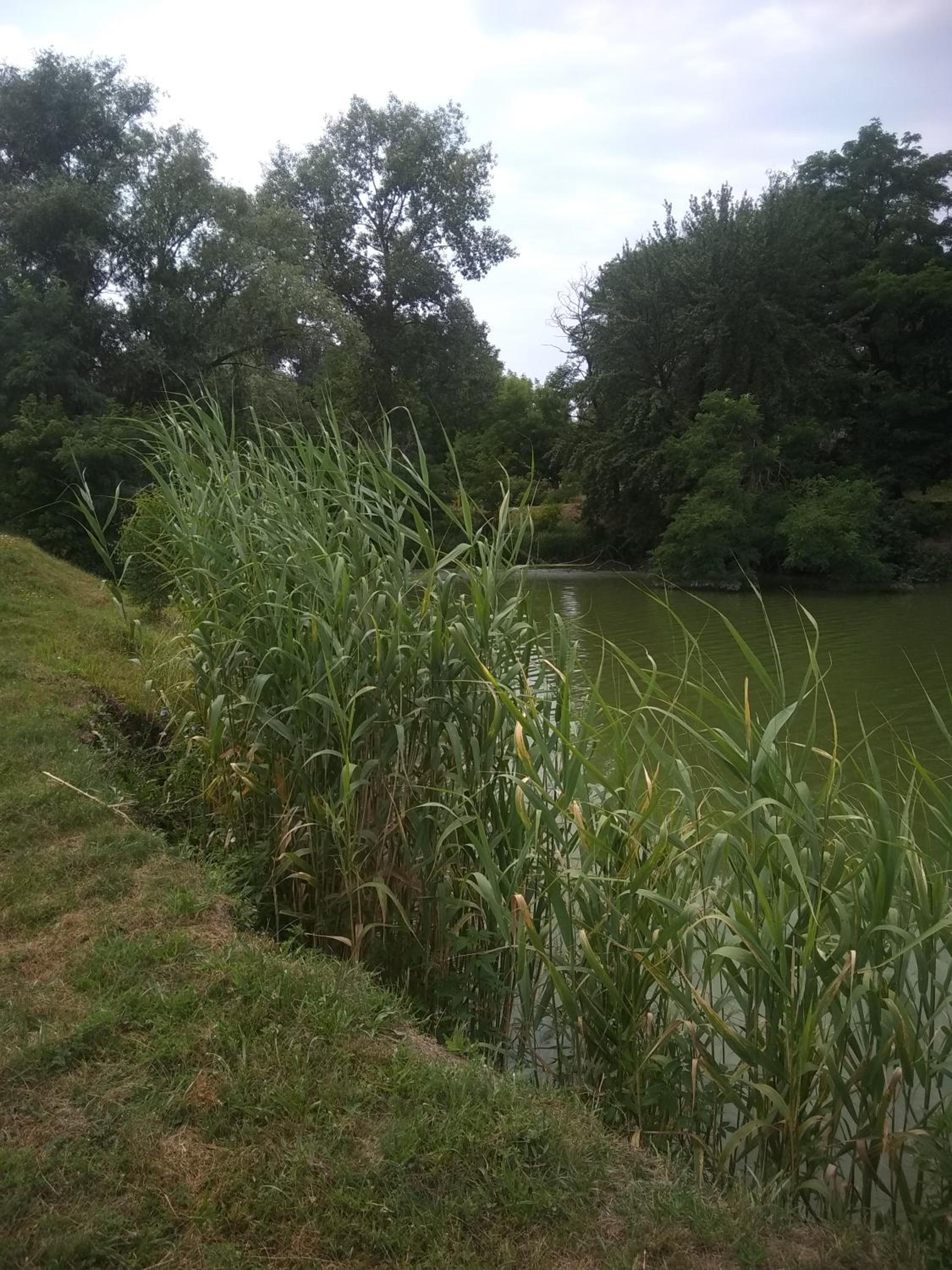 Photo 44