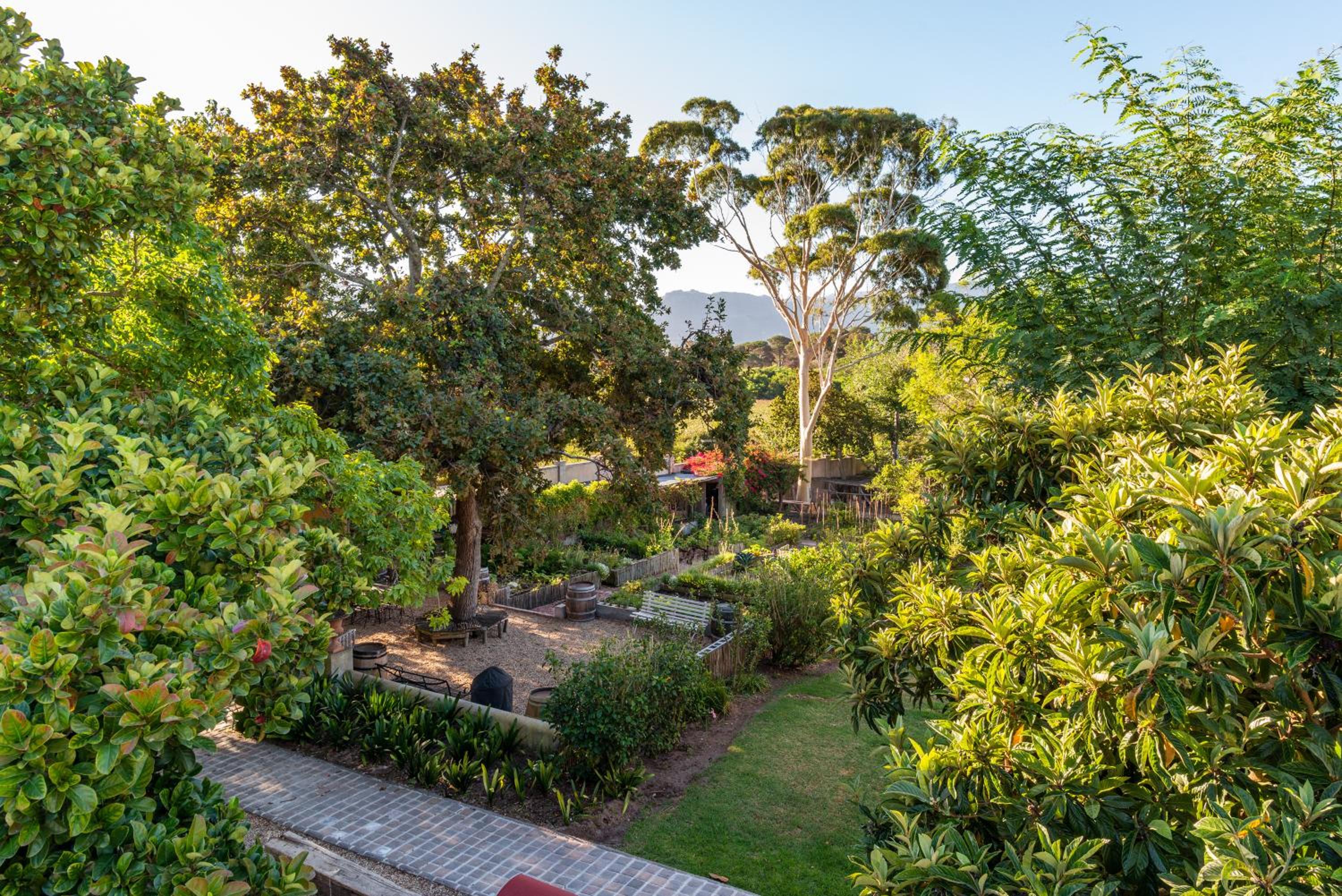 Ibis House