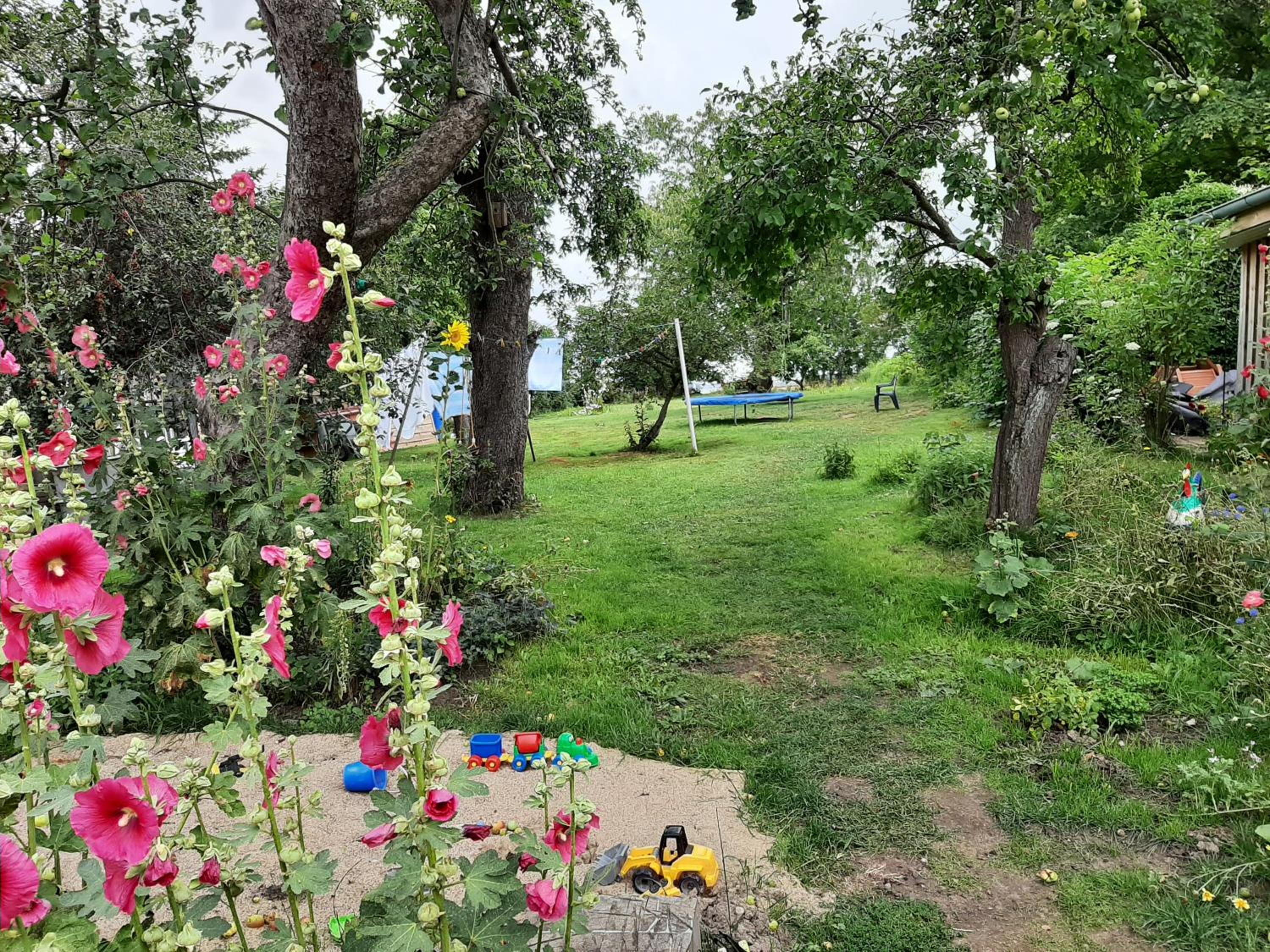 Photo 19