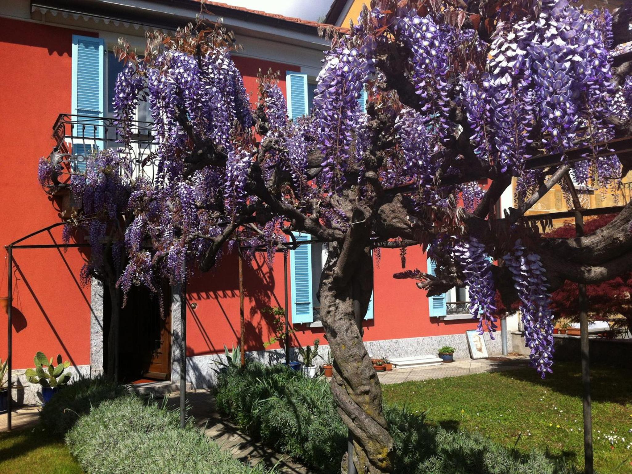 B&B villa sempreverde