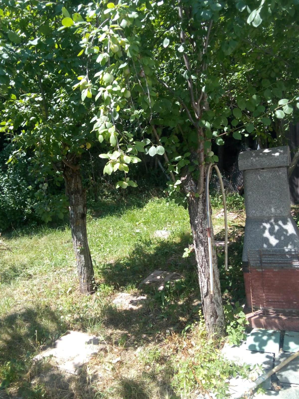 Photo 32