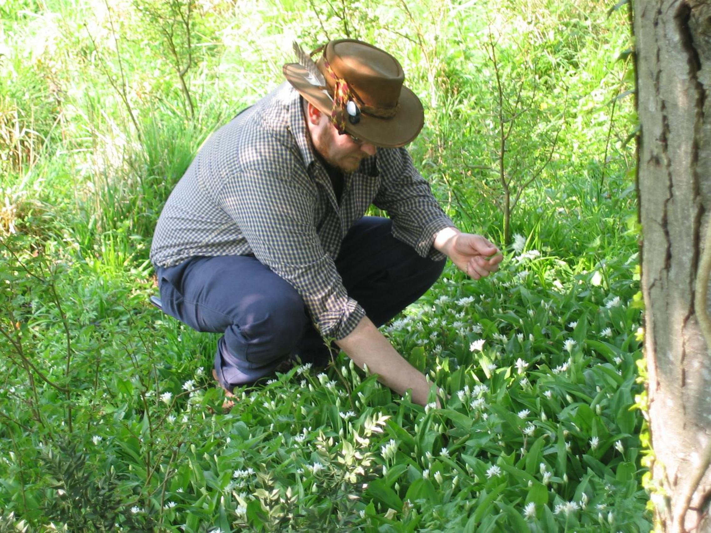 Photo 25