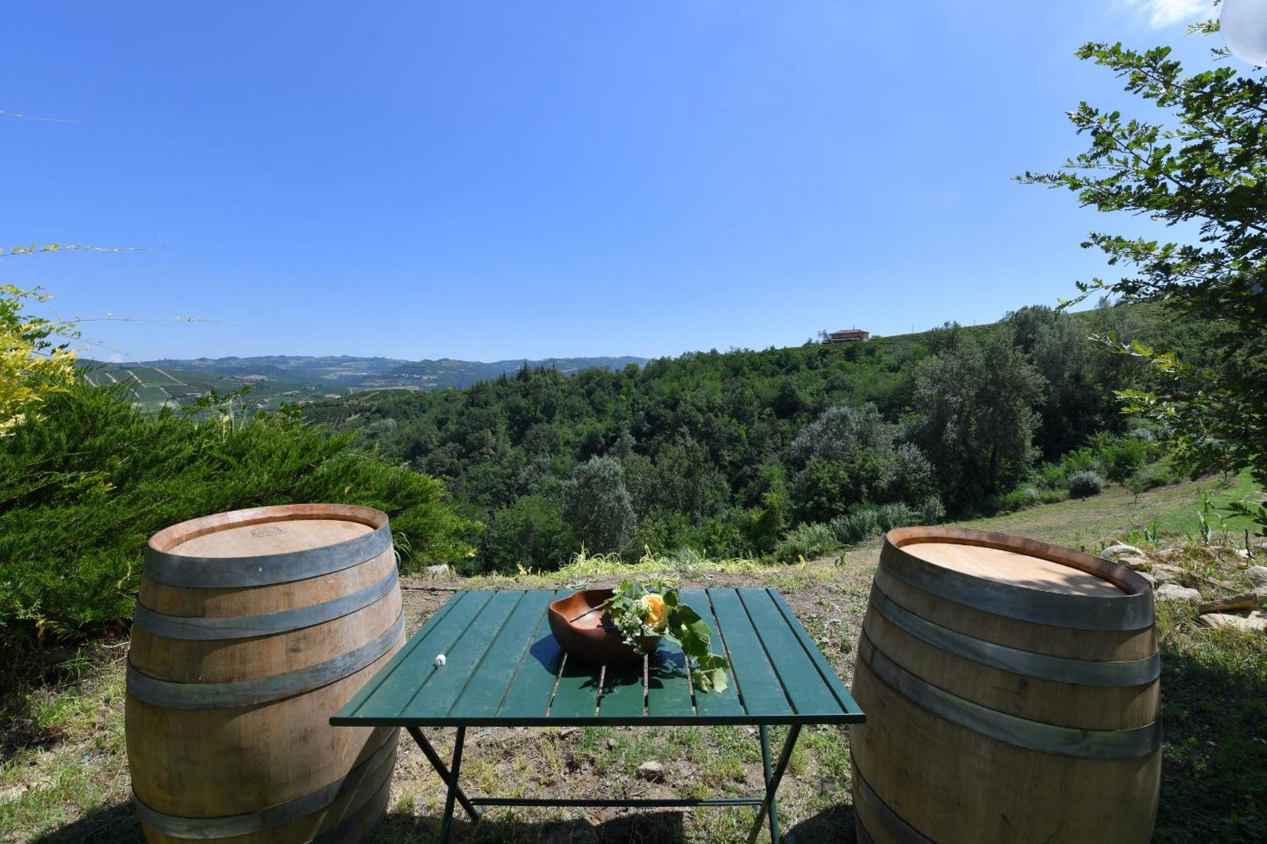 Cascina Flino view 2
