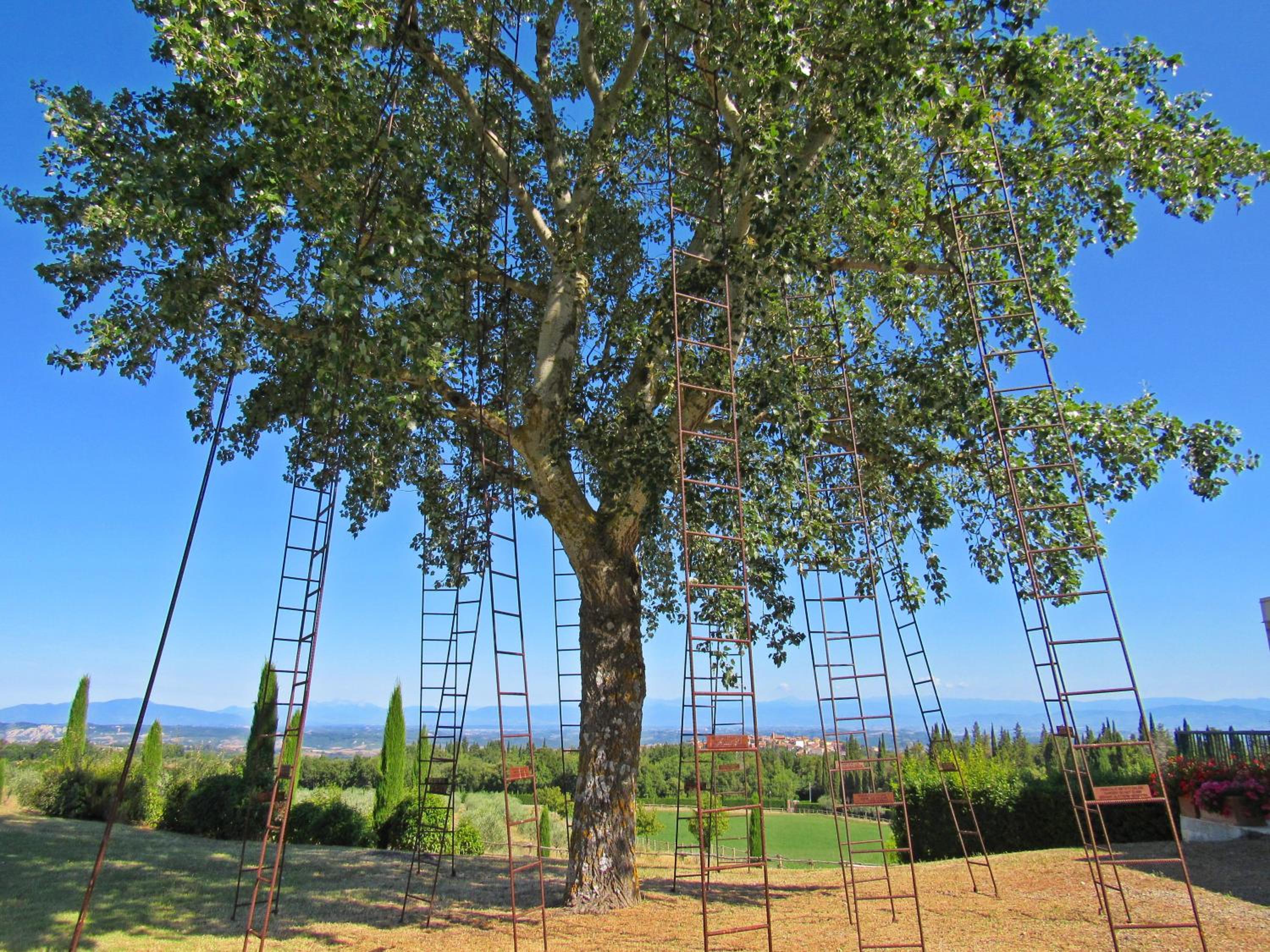 LA RIMESSA EXPERIENCE-Dream Holiday Home view 3