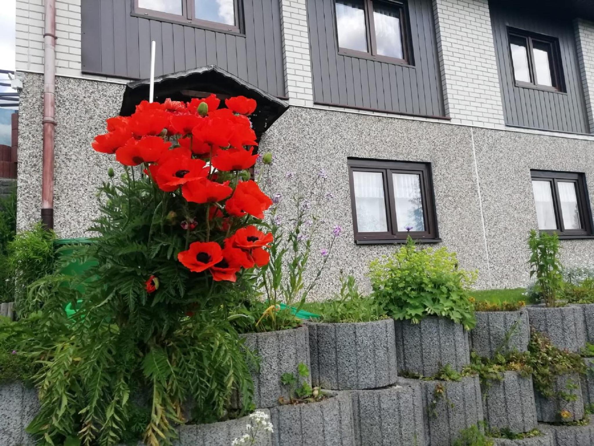 Ferienwohnung Suetovius