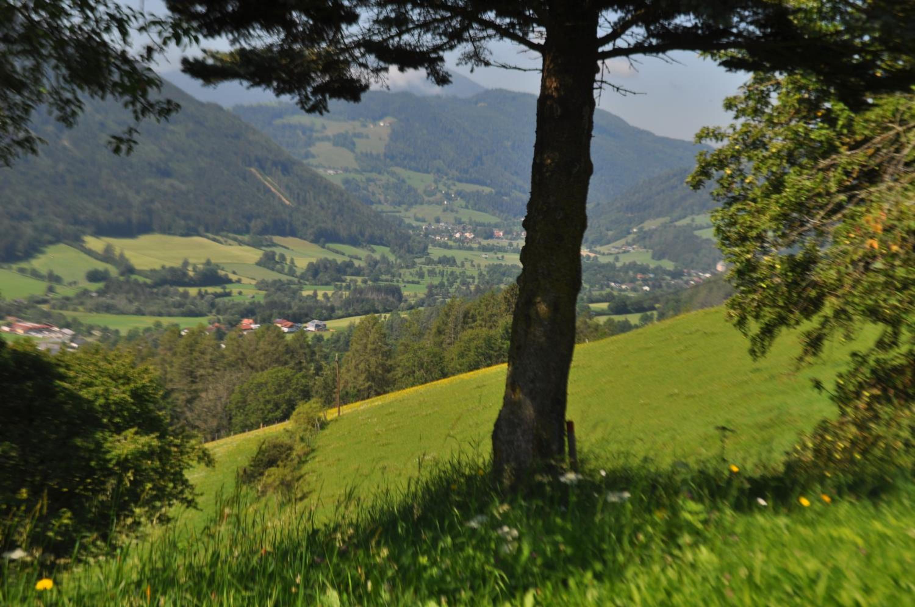 Fruhstuckspension Bischof i d Wiesen