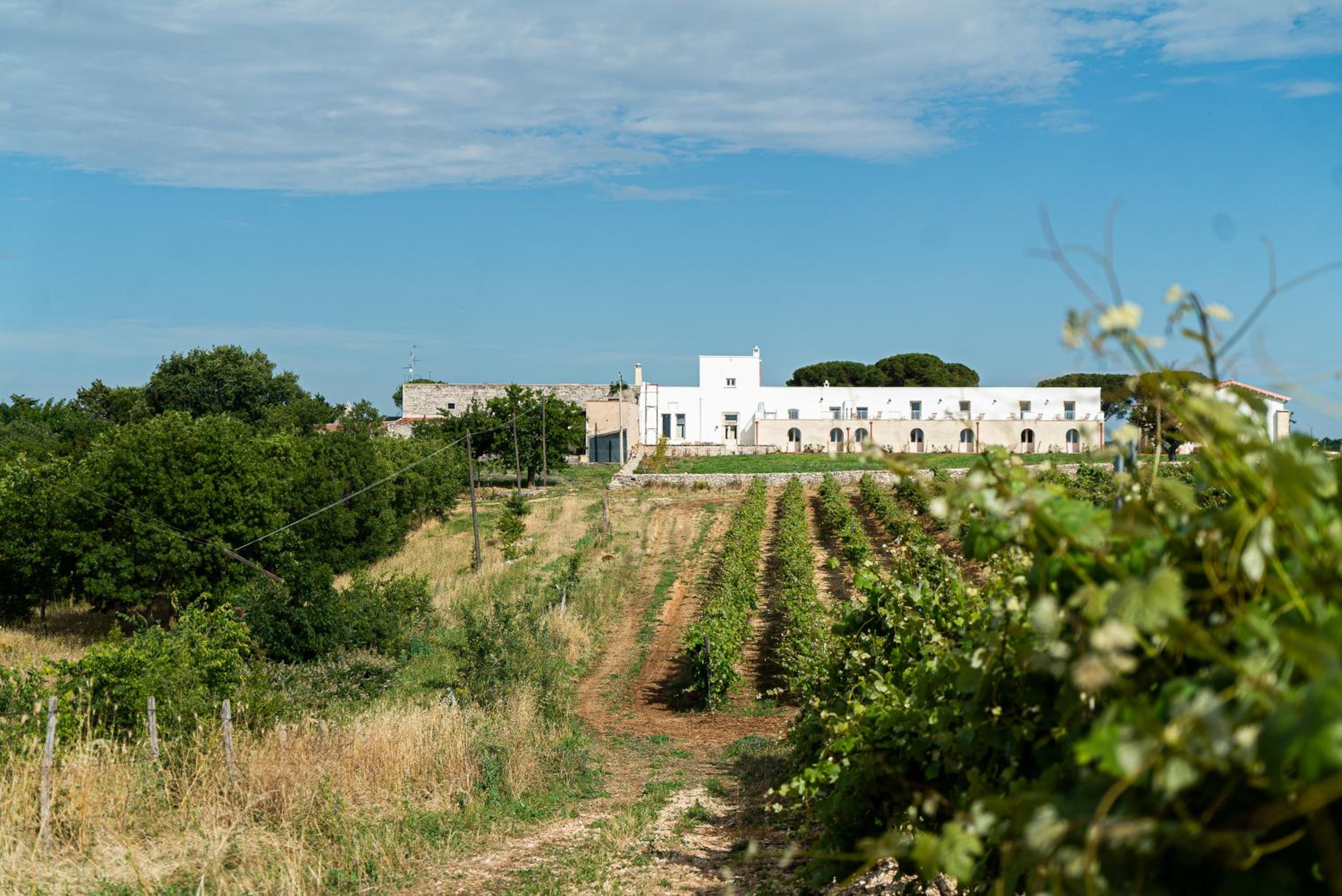 Le Masserie Zucaro view 5
