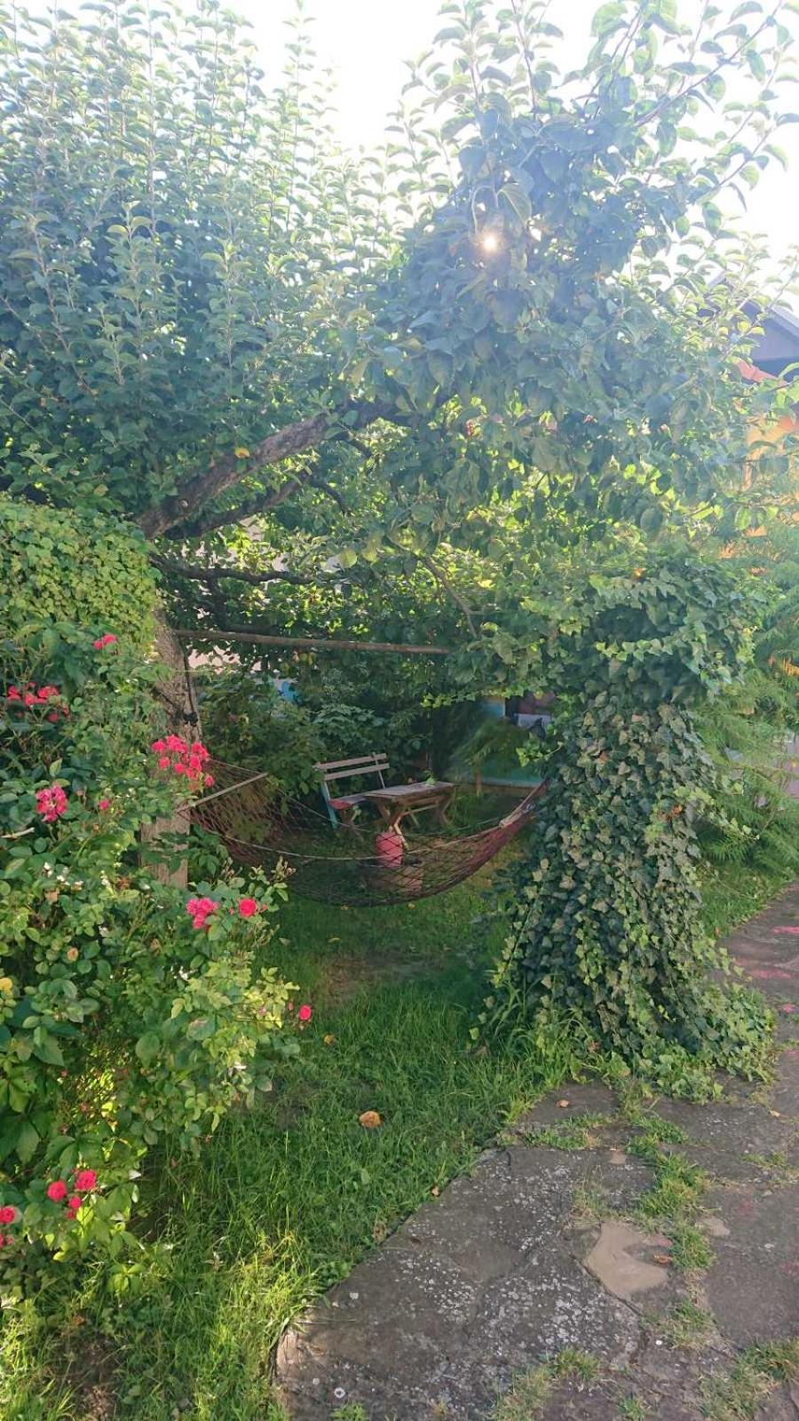 Garičkina kuća view 4