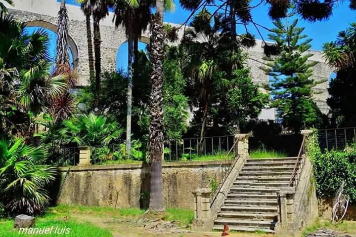 Photo 38