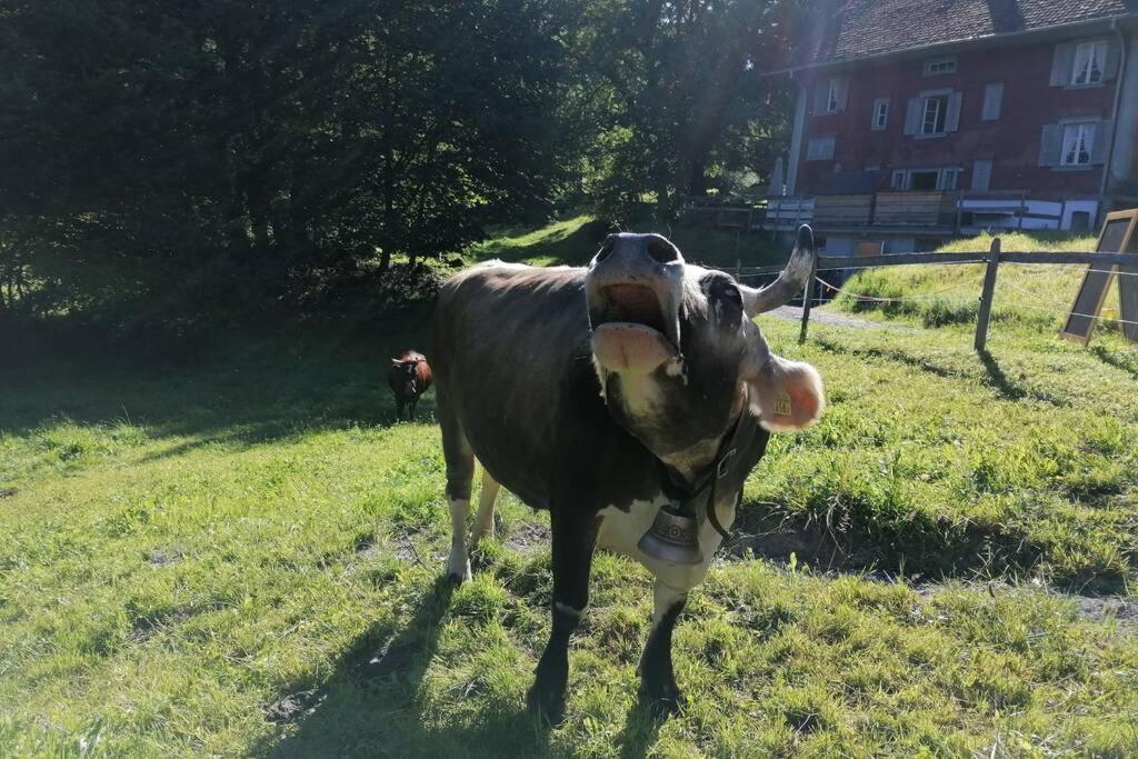 Ferien im Paradies view 2