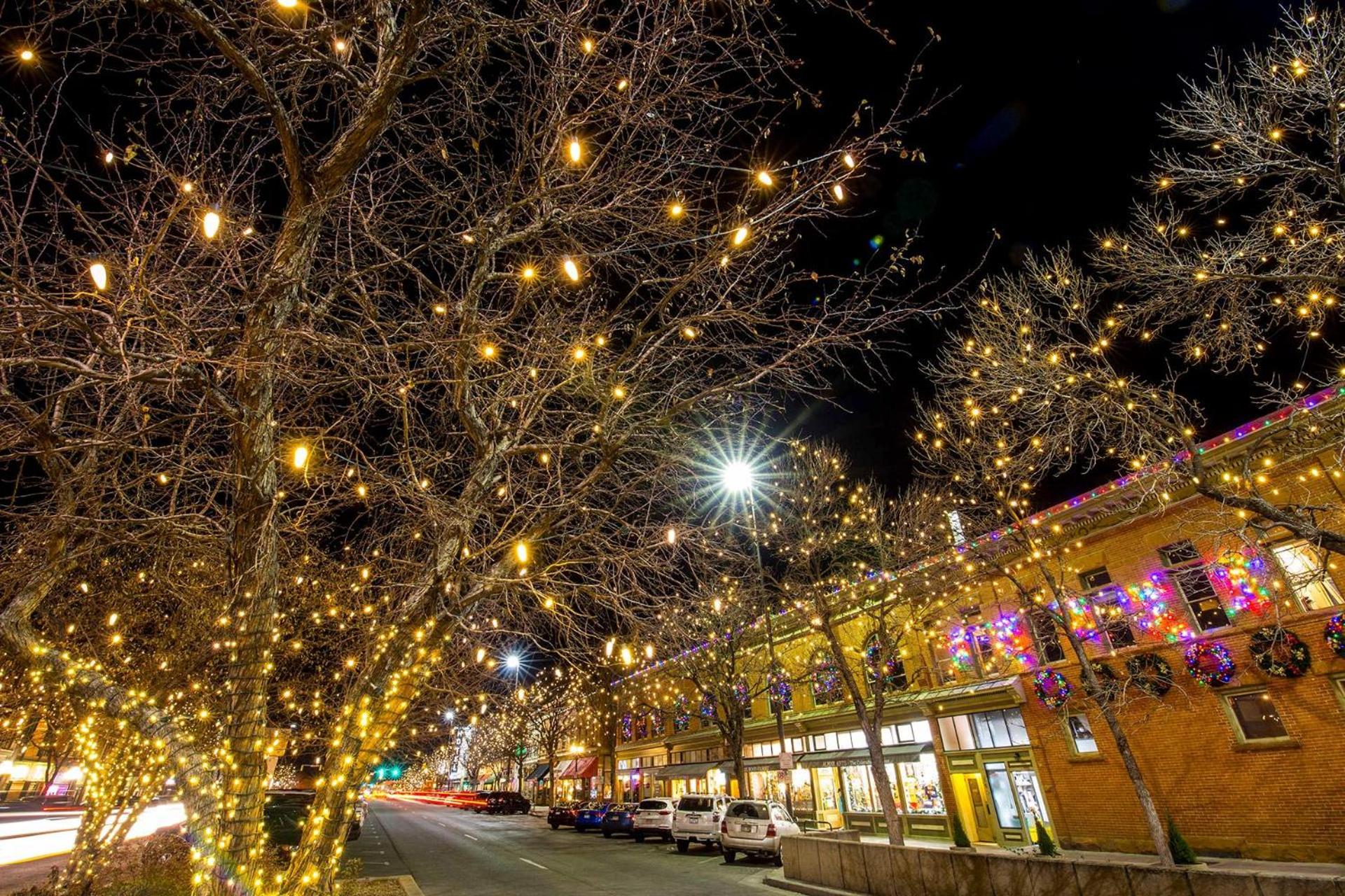 Beautiful Bungalow Next to CSU, Free Cruiser Bikes