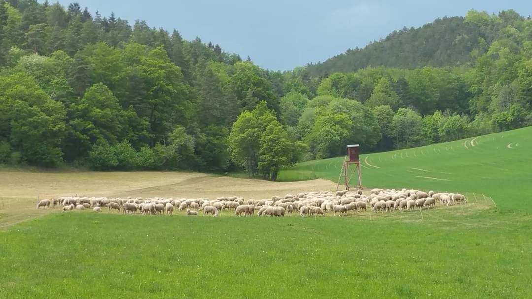 Bungalow Schwarzatalblick in Bad Blankenburg Ortsteil Böhlscheiben