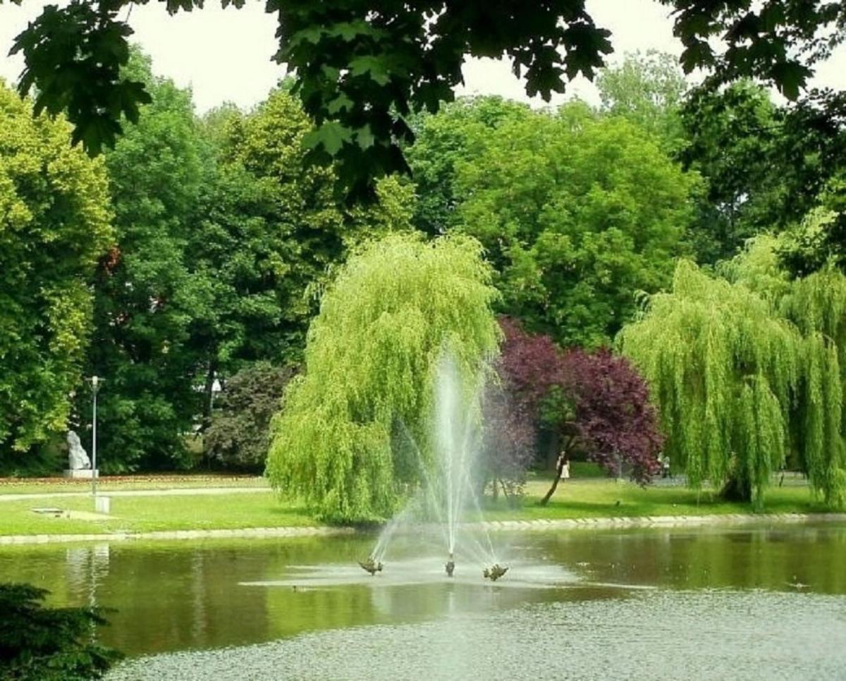 Photo 24