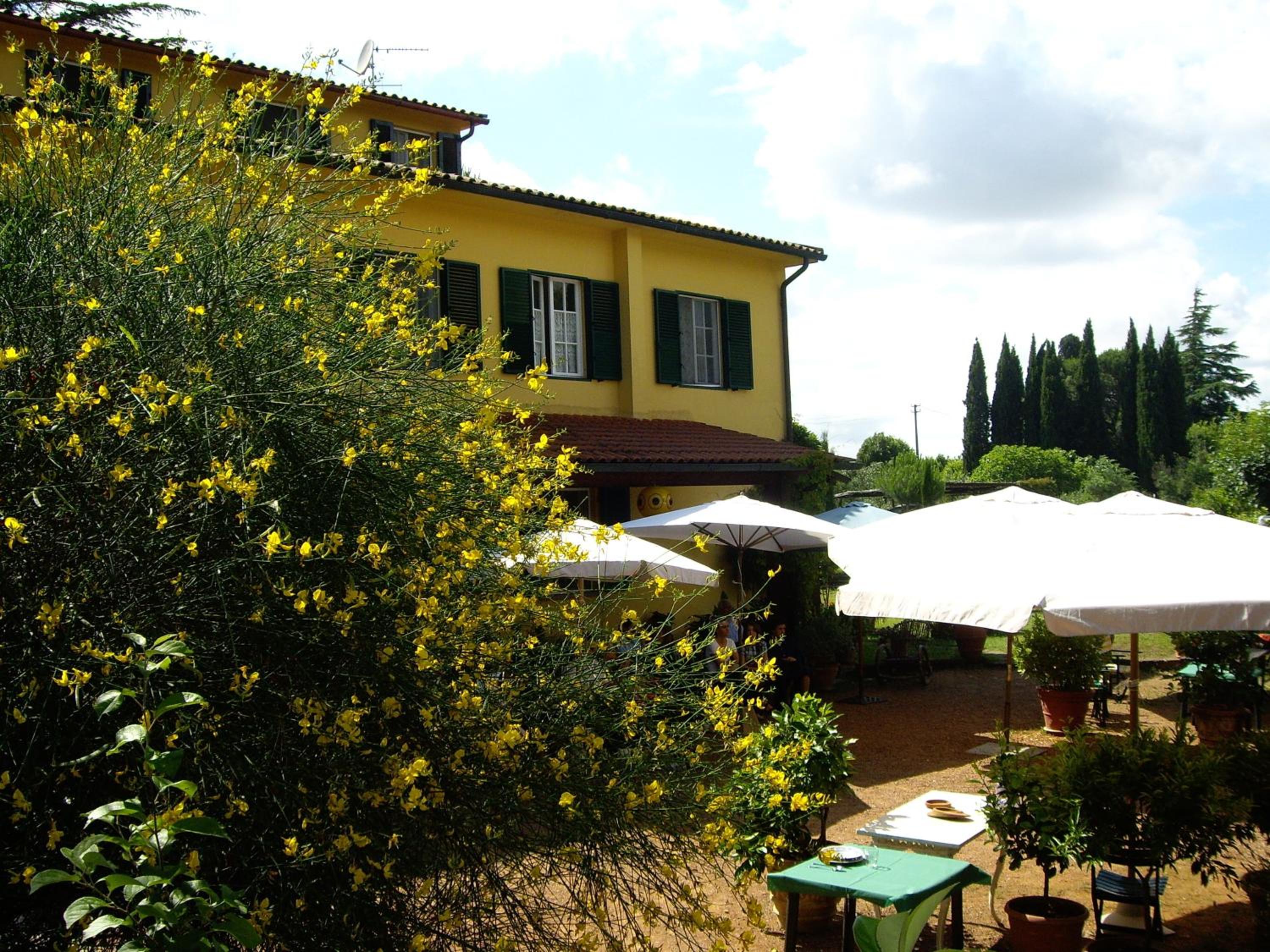 Tenuta Poggio alla Farnia view 5
