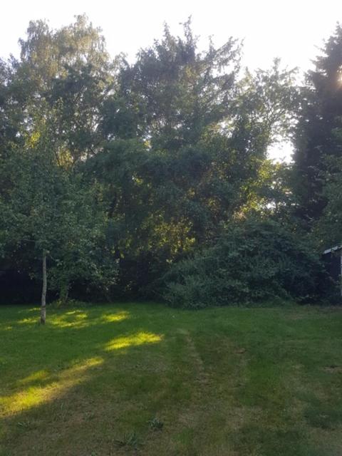 Photo 52