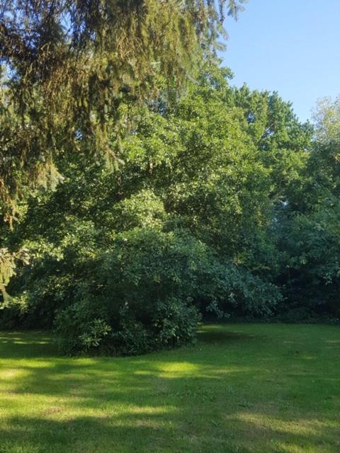 Photo 29