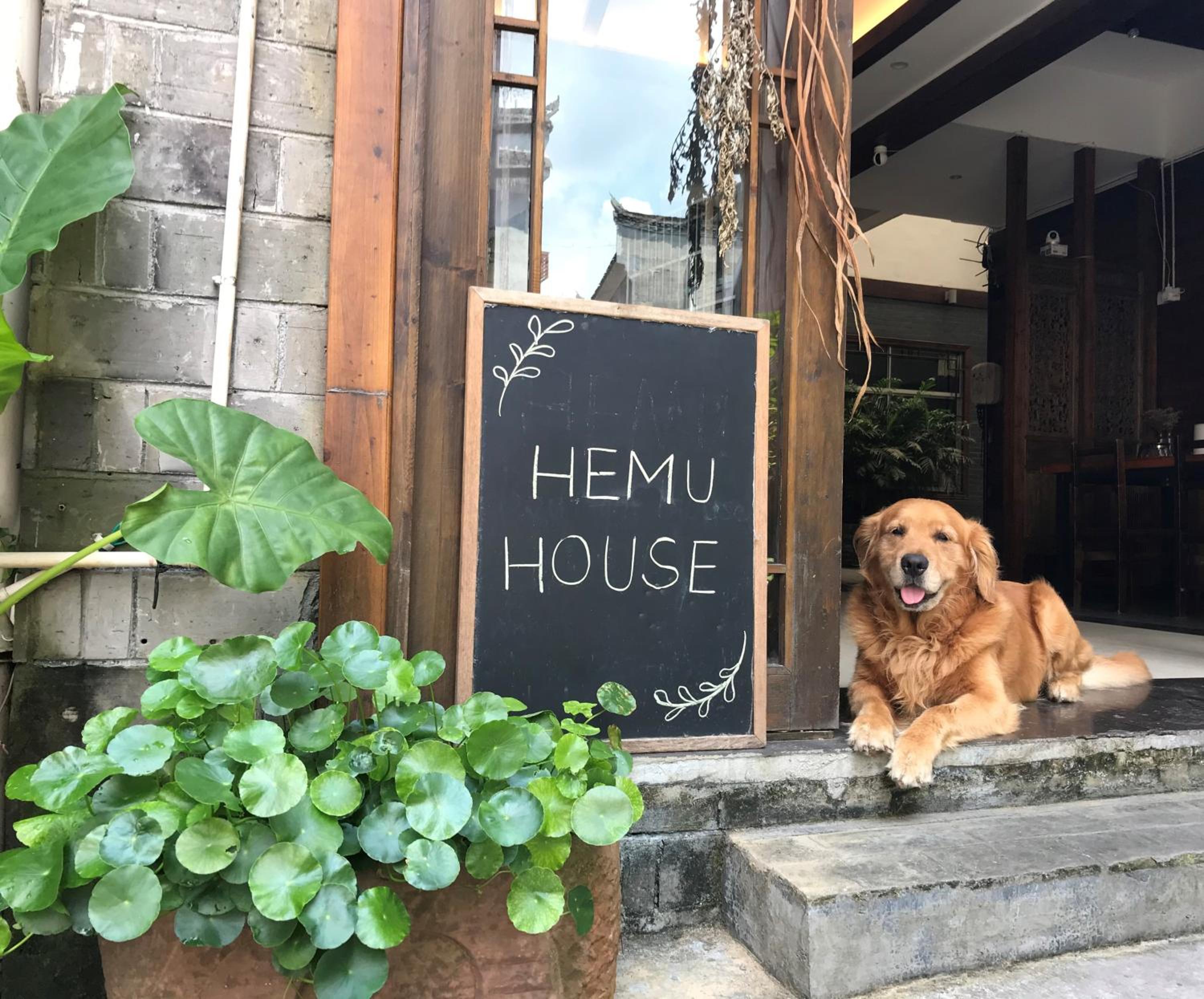 Hemu House view 2