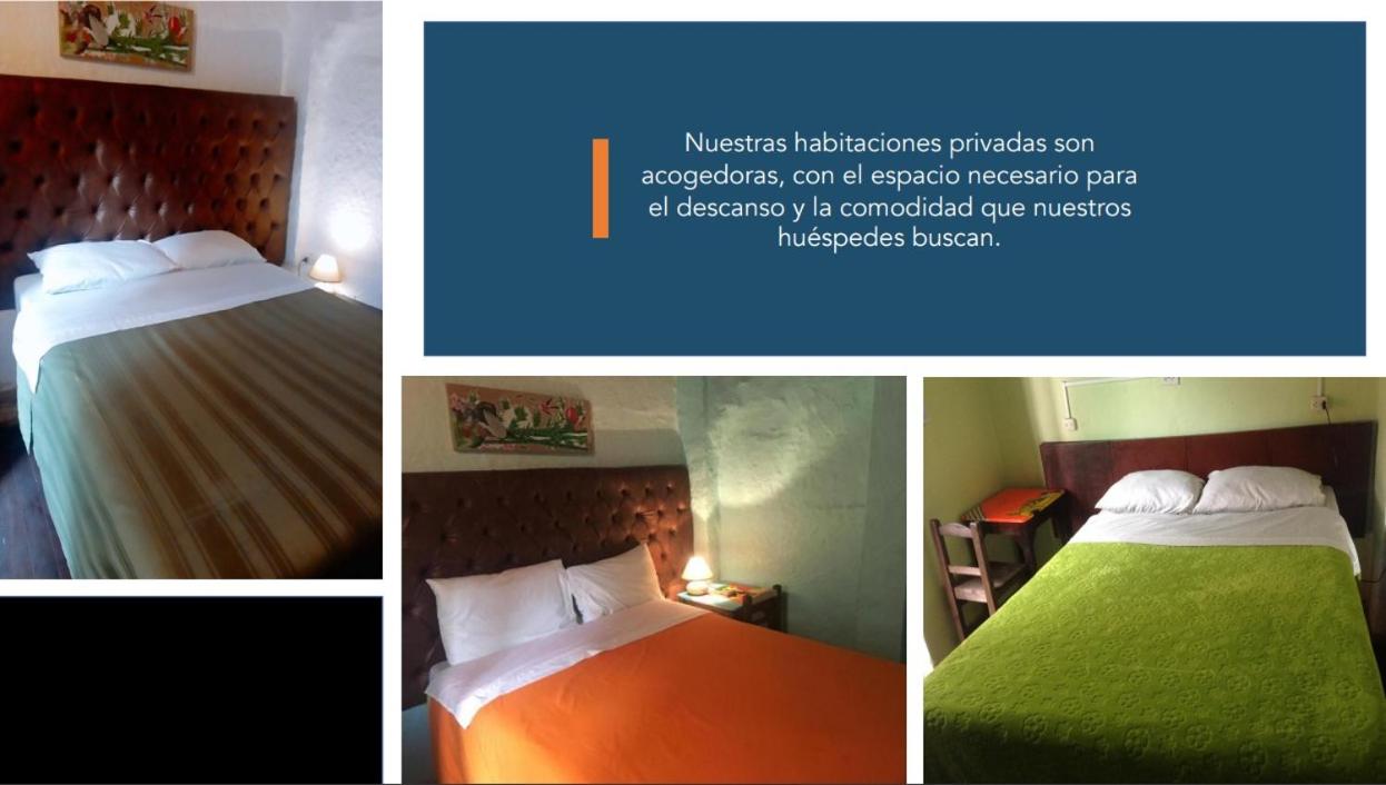 Hostal Gastro Bar Casa Colibrí