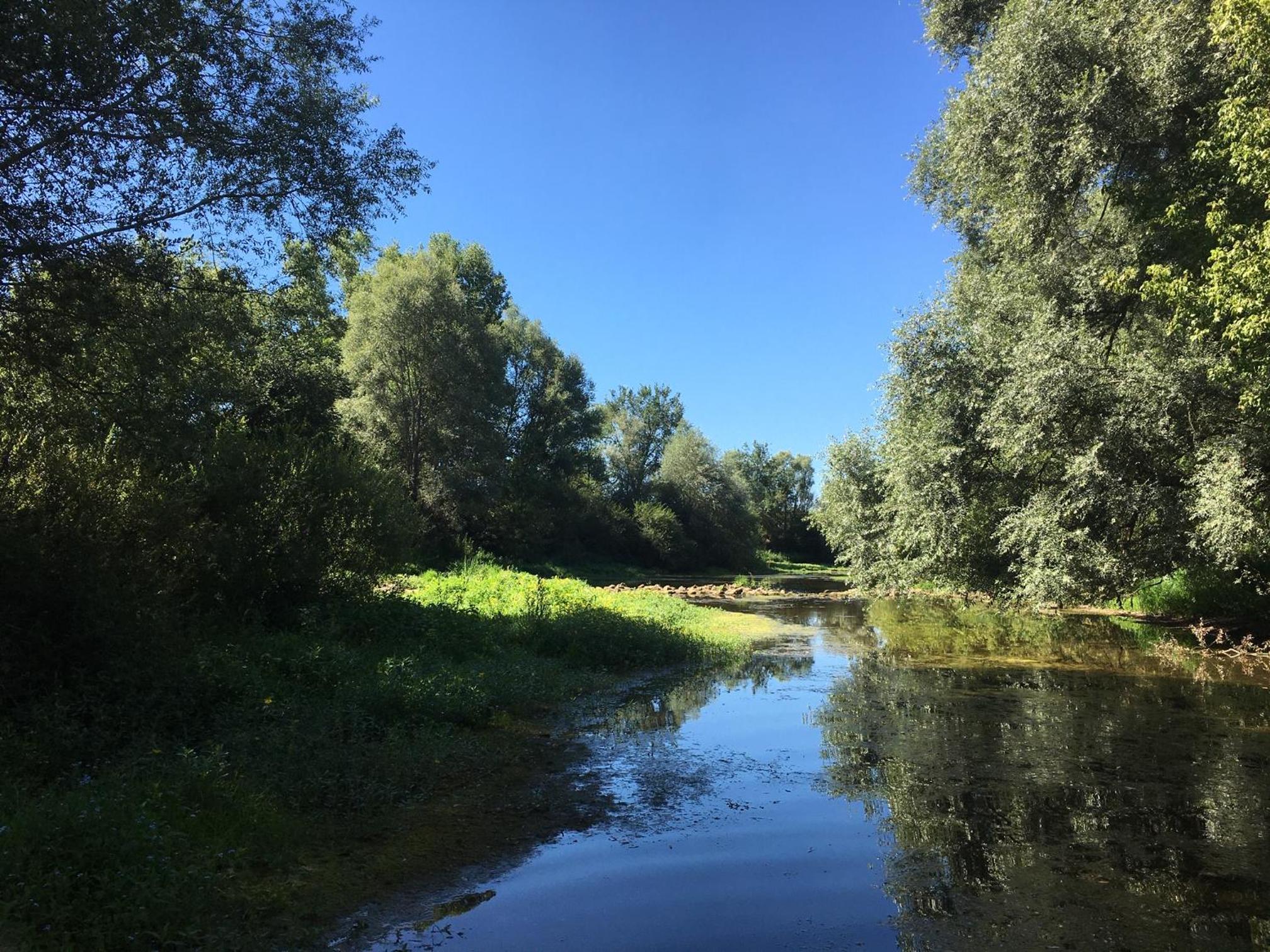 Photo 27
