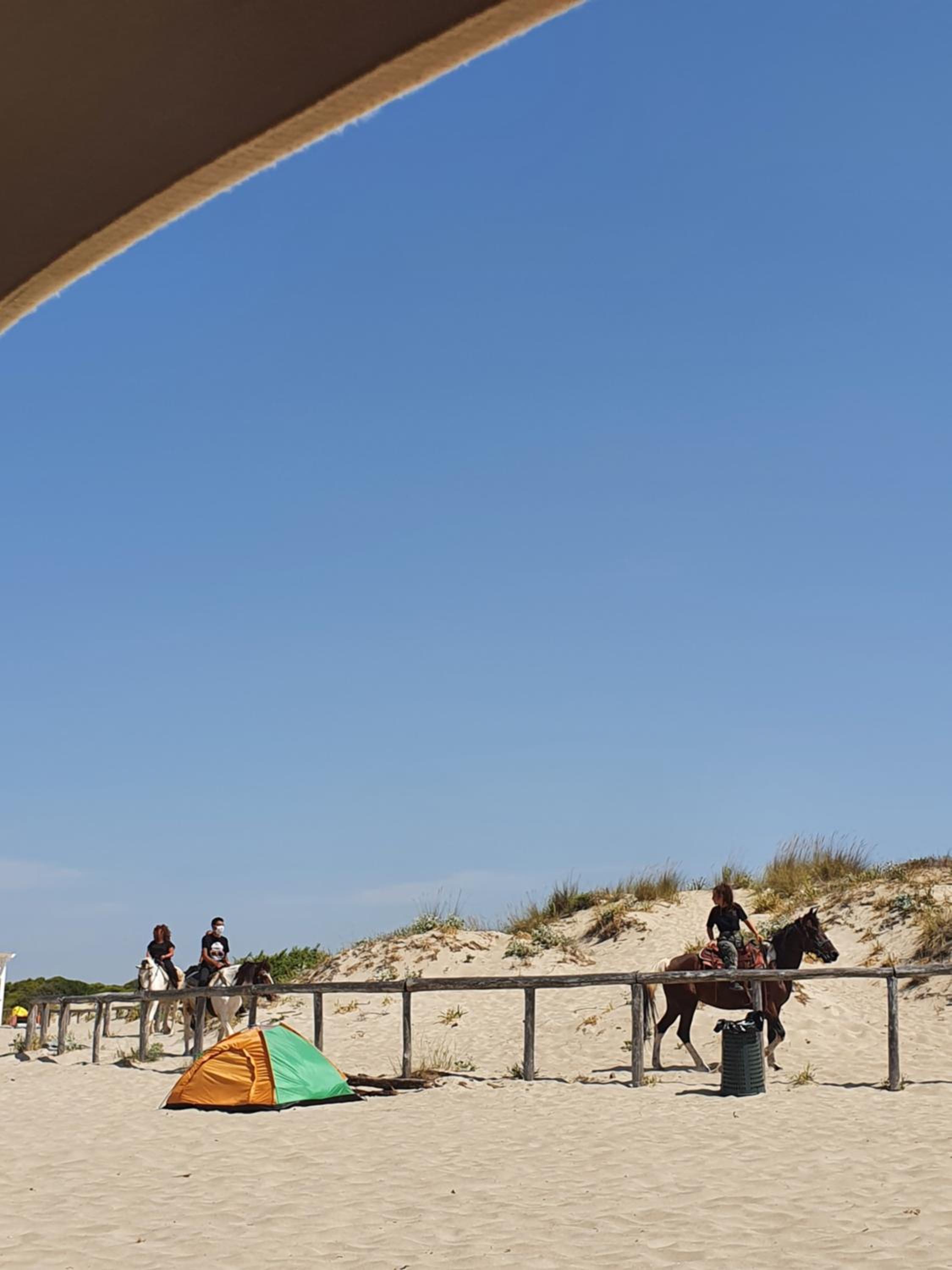 La Maison Blue a 100 mt dal mare - holiday2pet,com -
