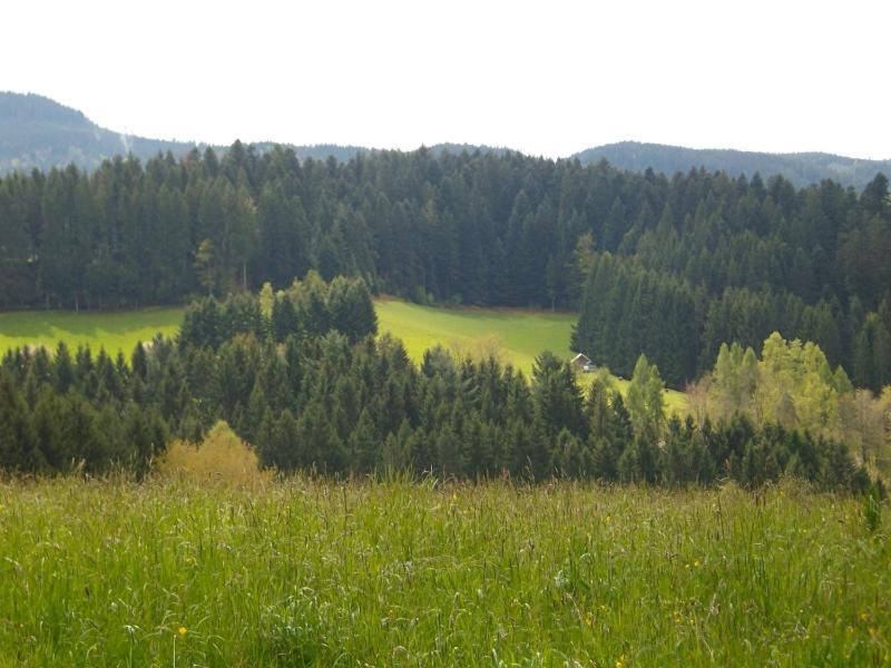 Ferienwohnung Am Sulzbächle
