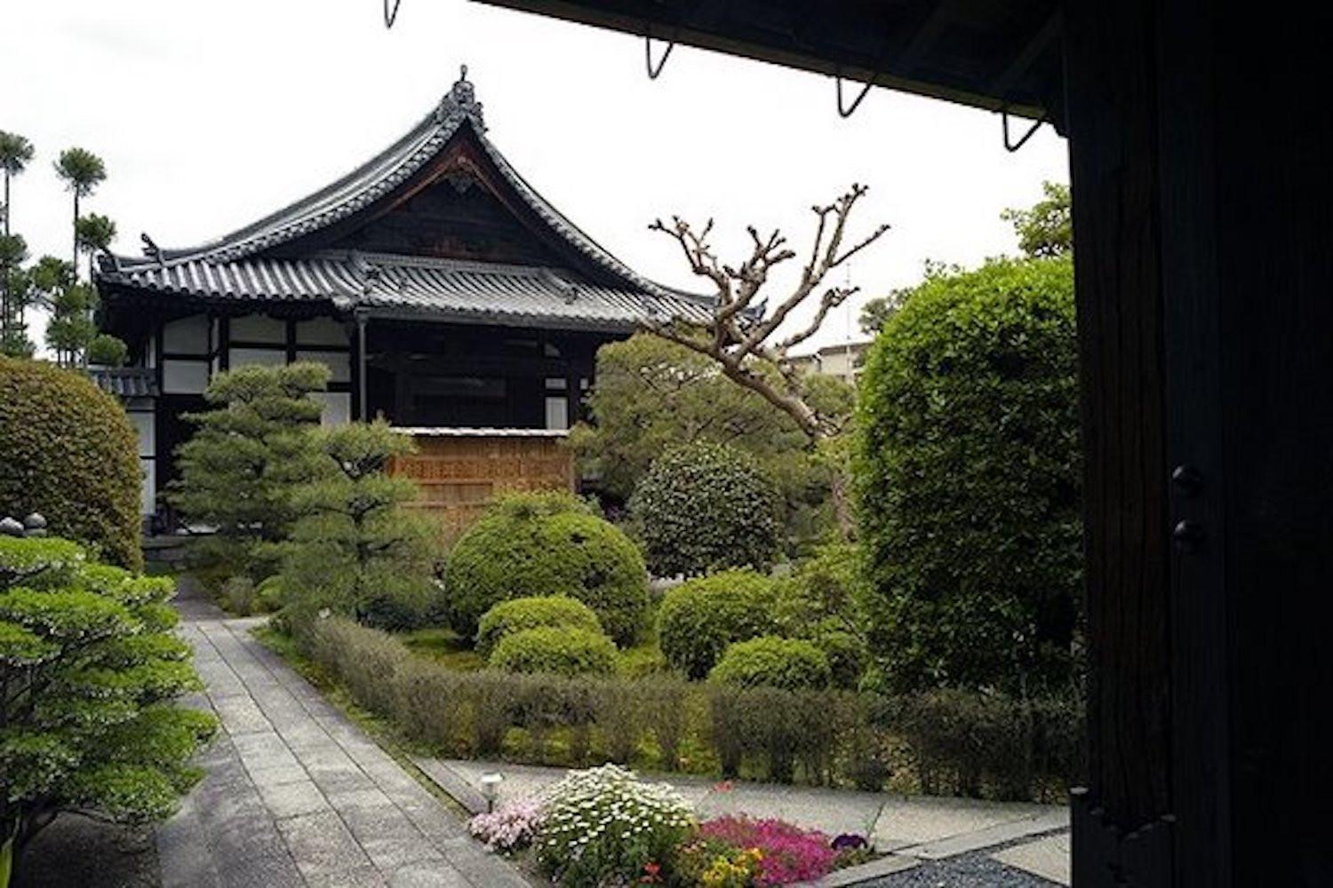 Photo 9