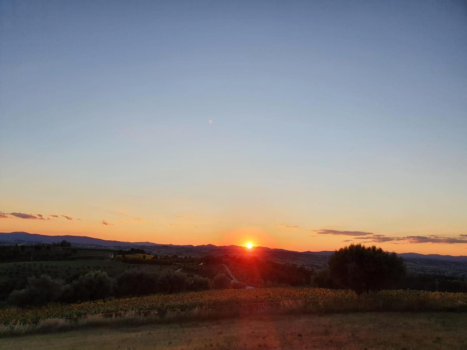 La Collina