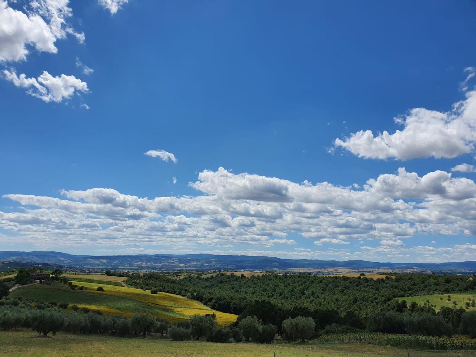 La Collina
