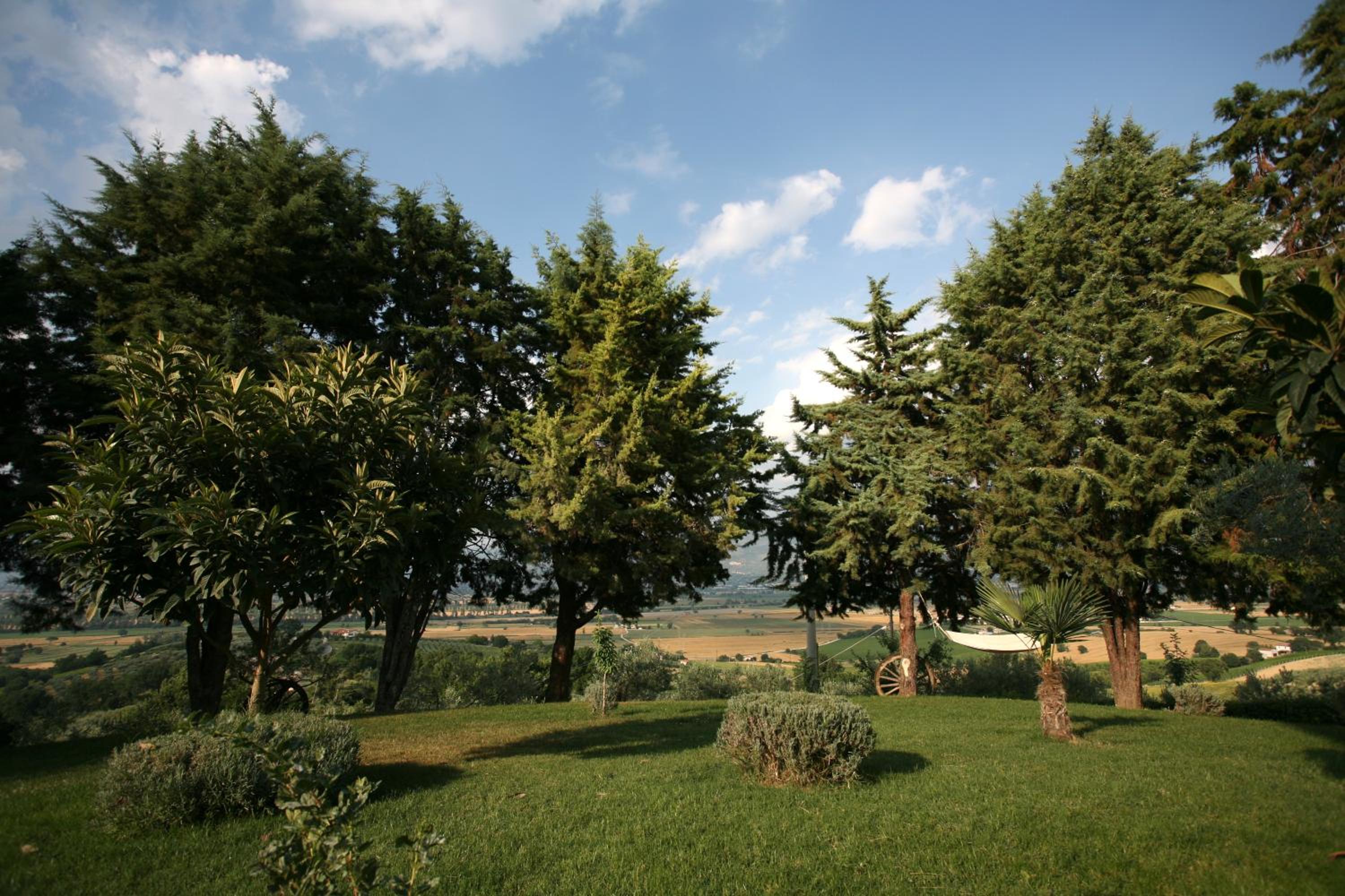 Photo 18