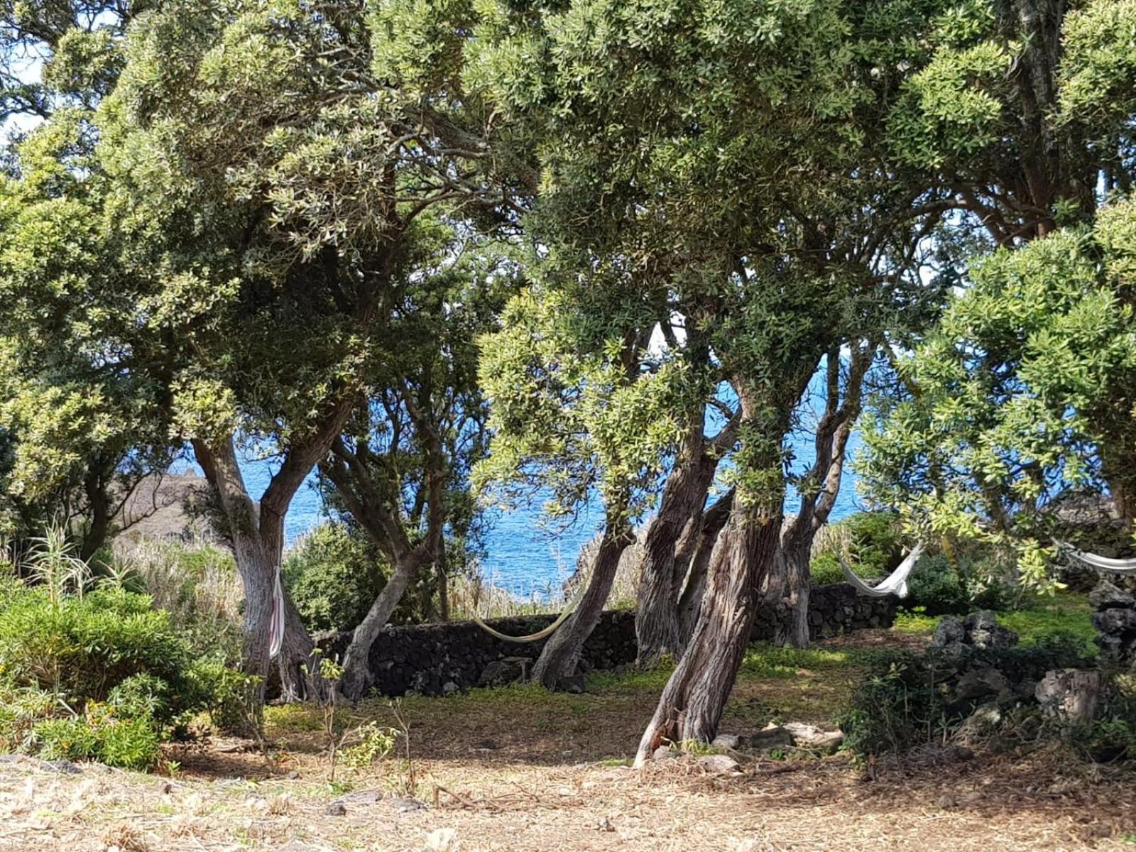 Quinta da Falesia - Casa Branca view 5