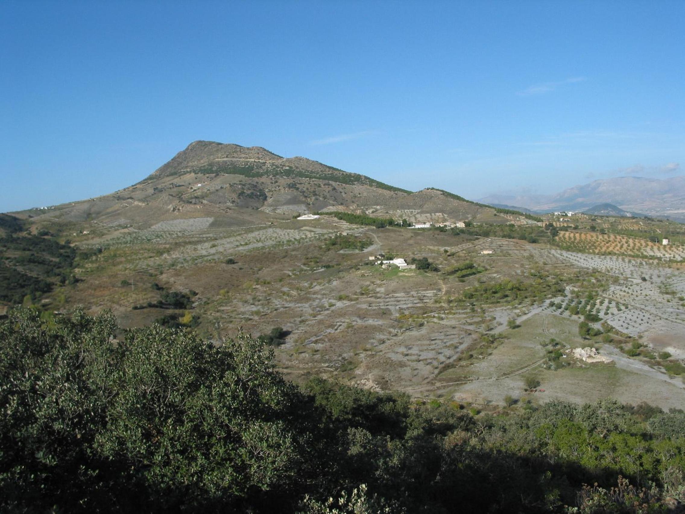 Photo 32