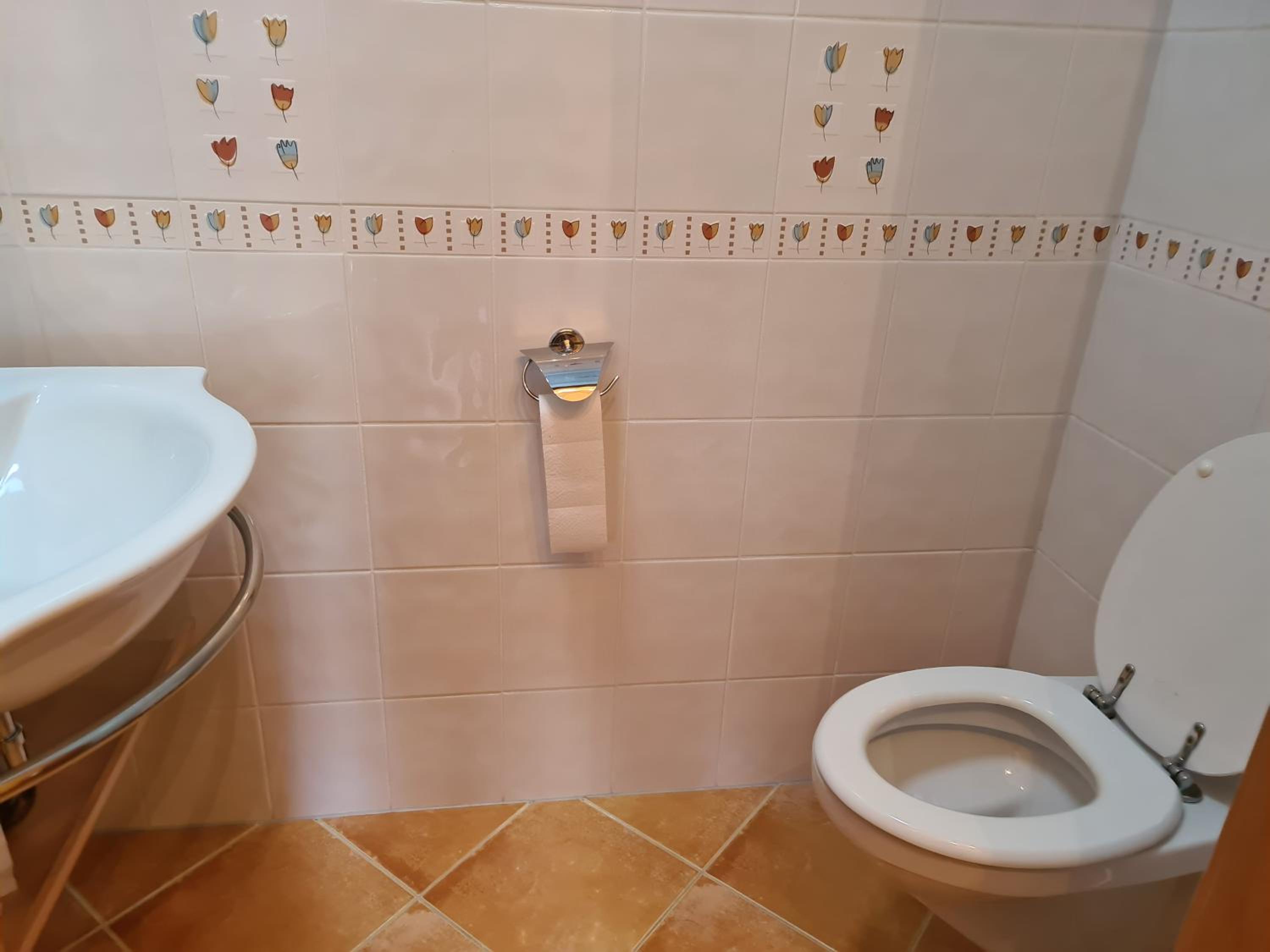 Apartmaji Sitar view 4