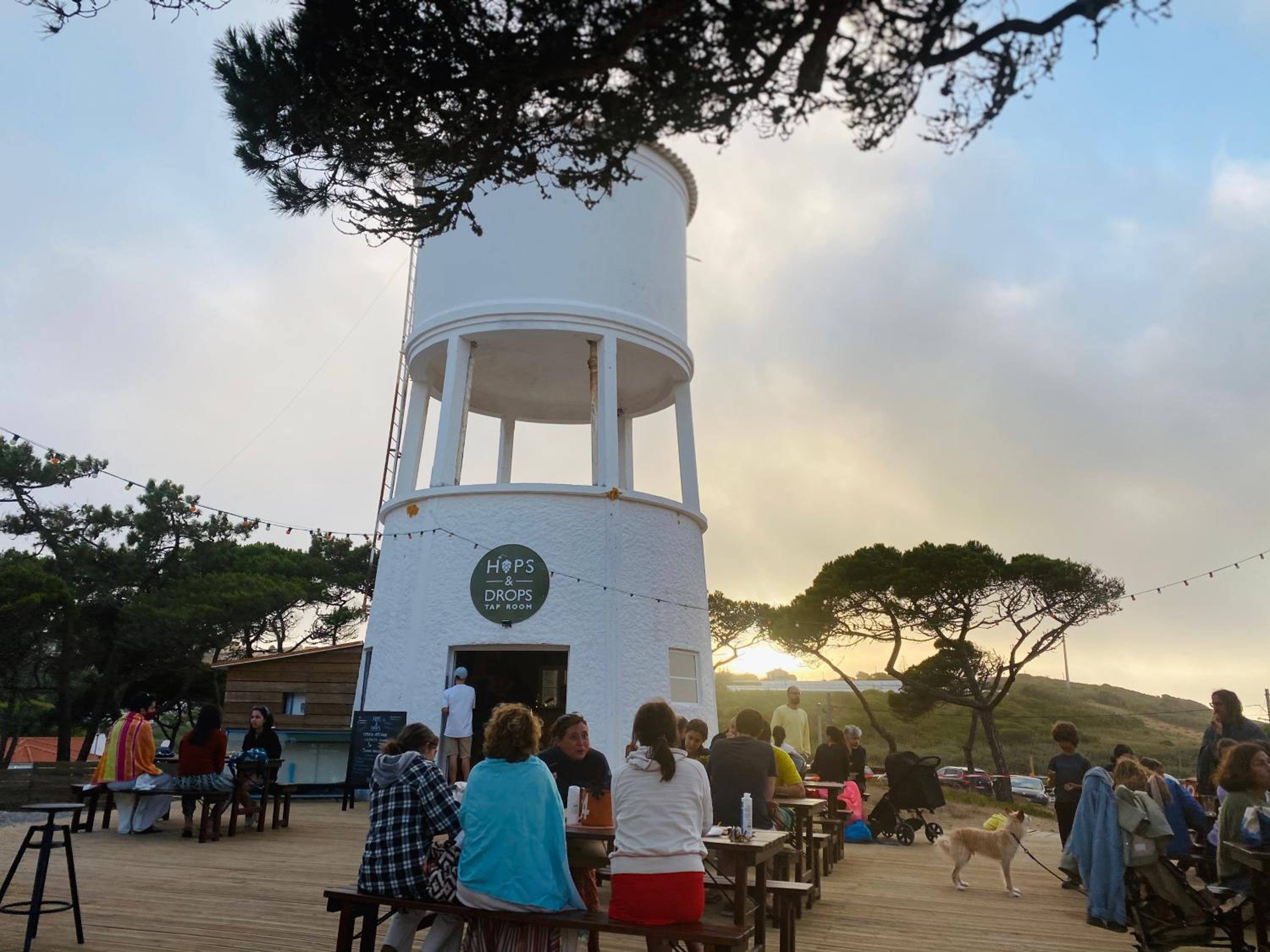 Oasis Backpackers Hostel Sintra Surf