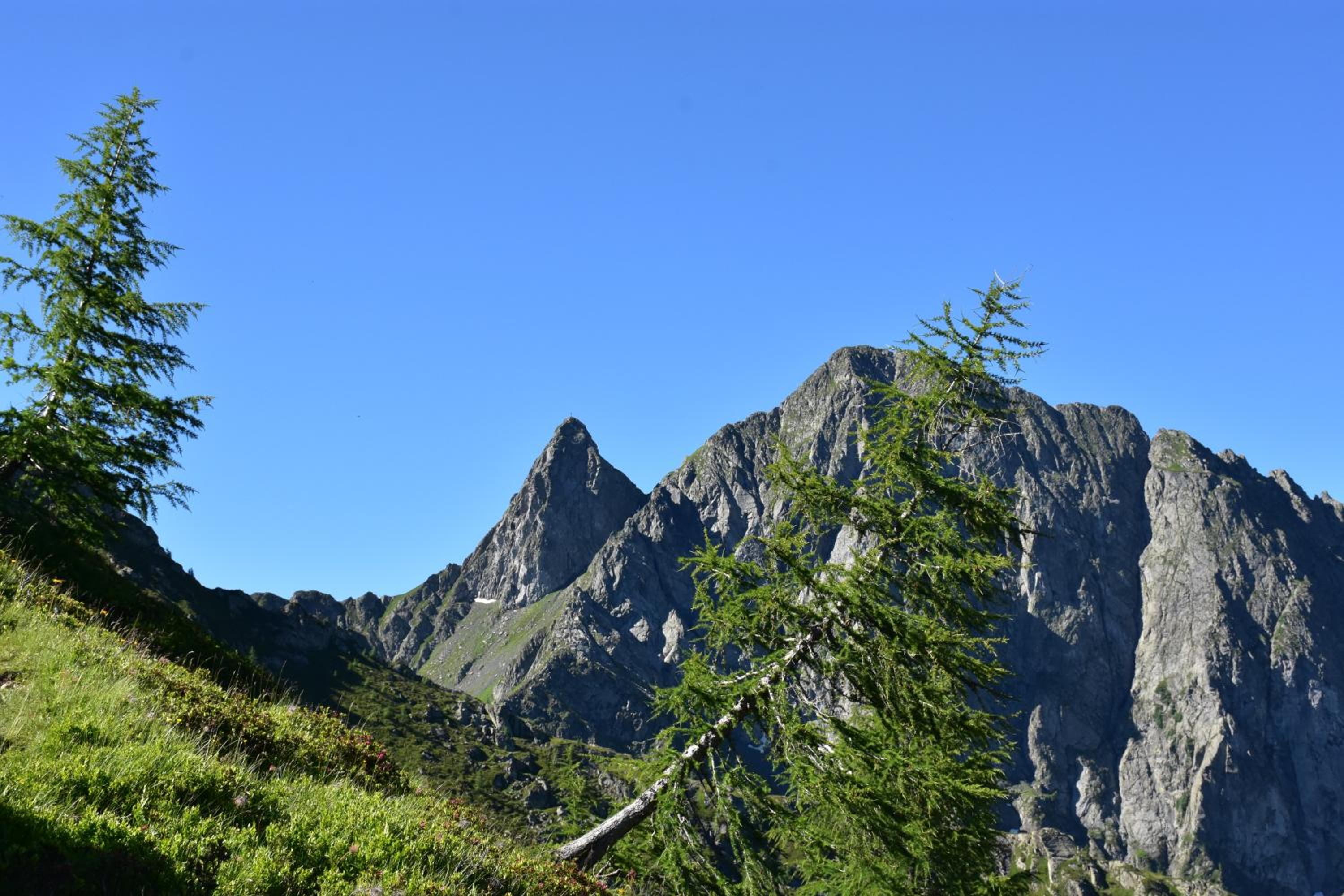 Photo 17