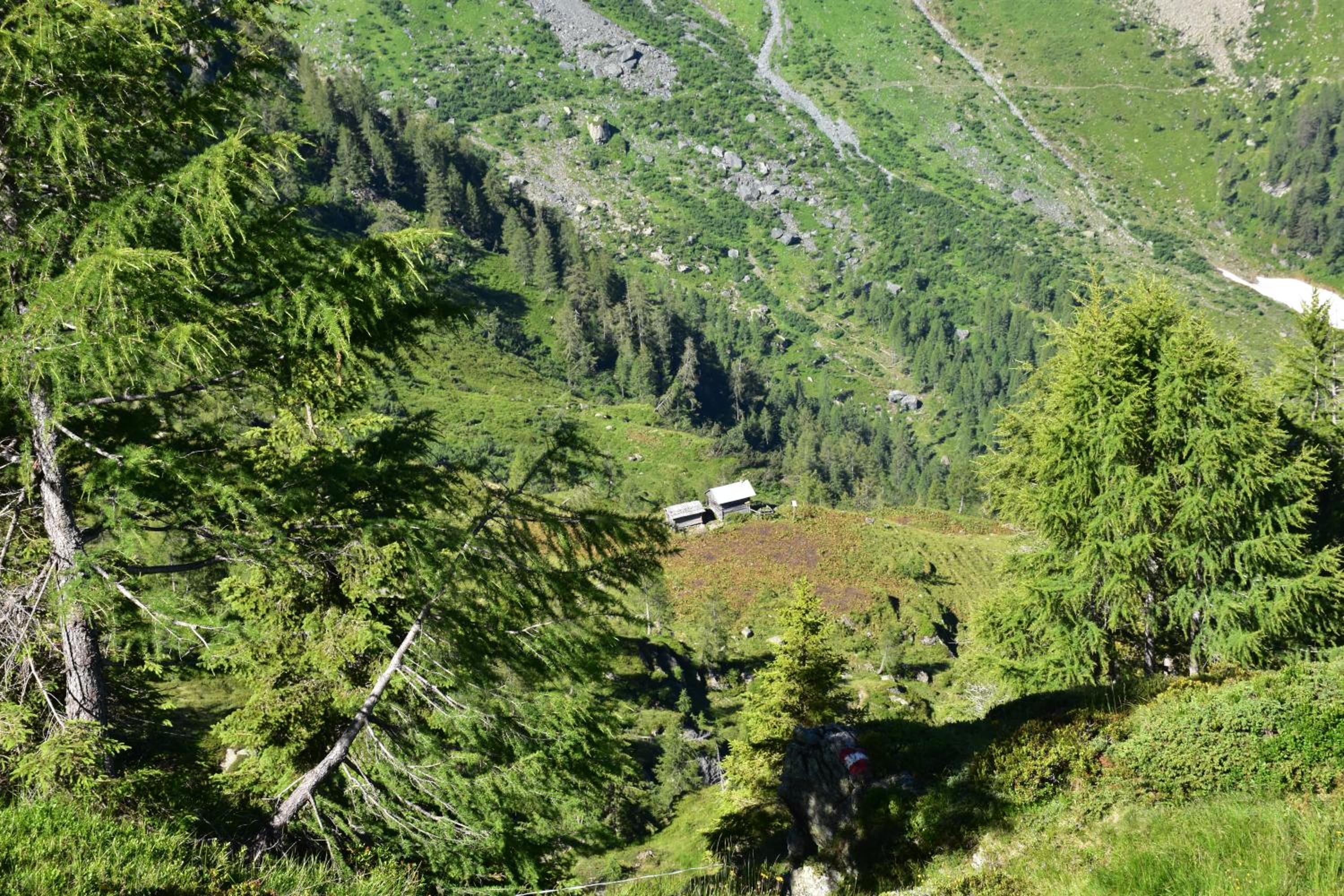 Photo 16